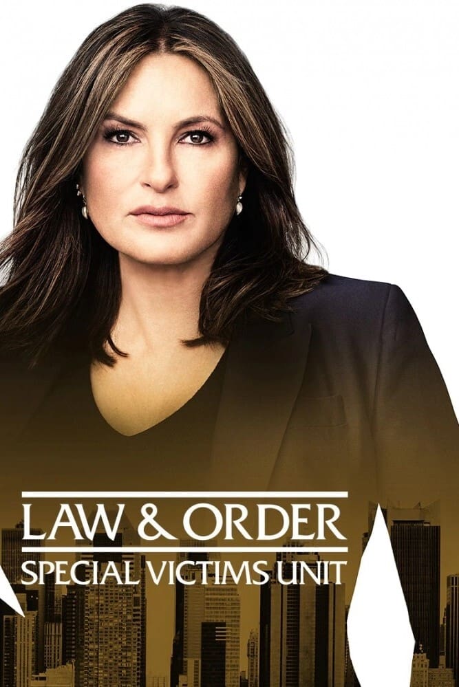 Immagine Poster serie TV 26 Law & Order - Unità vittime speciali