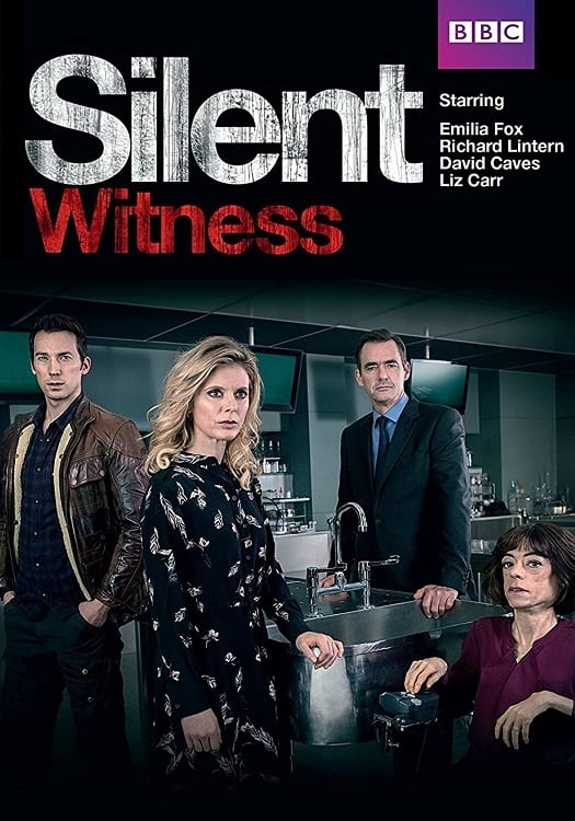 Immagine Poster serie TV 6 Testimoni silenziosi