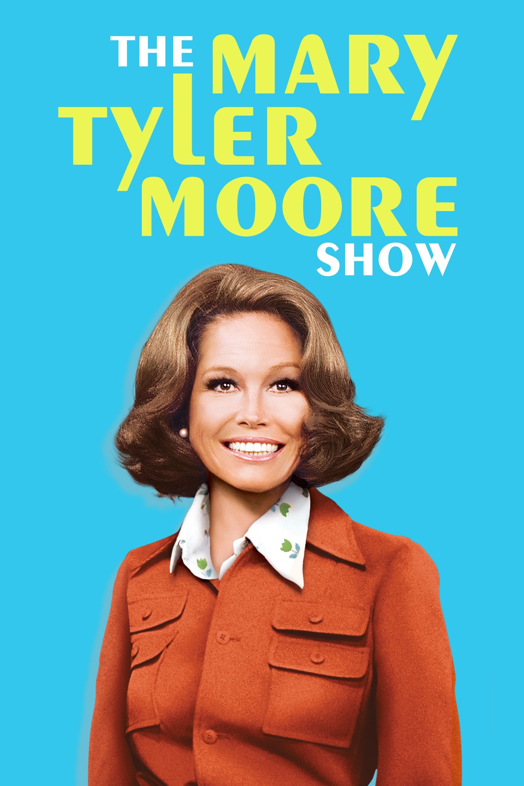 Immagine Poster serie TV 3 Mary Tyler Moore