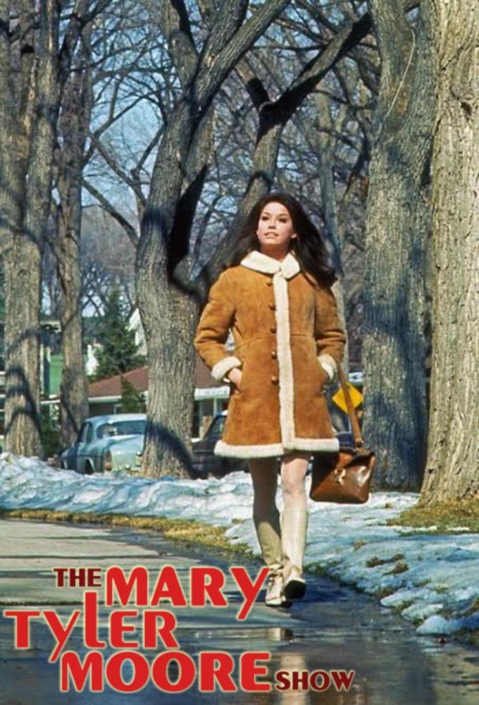Immagine Poster serie TV 5 Mary Tyler Moore
