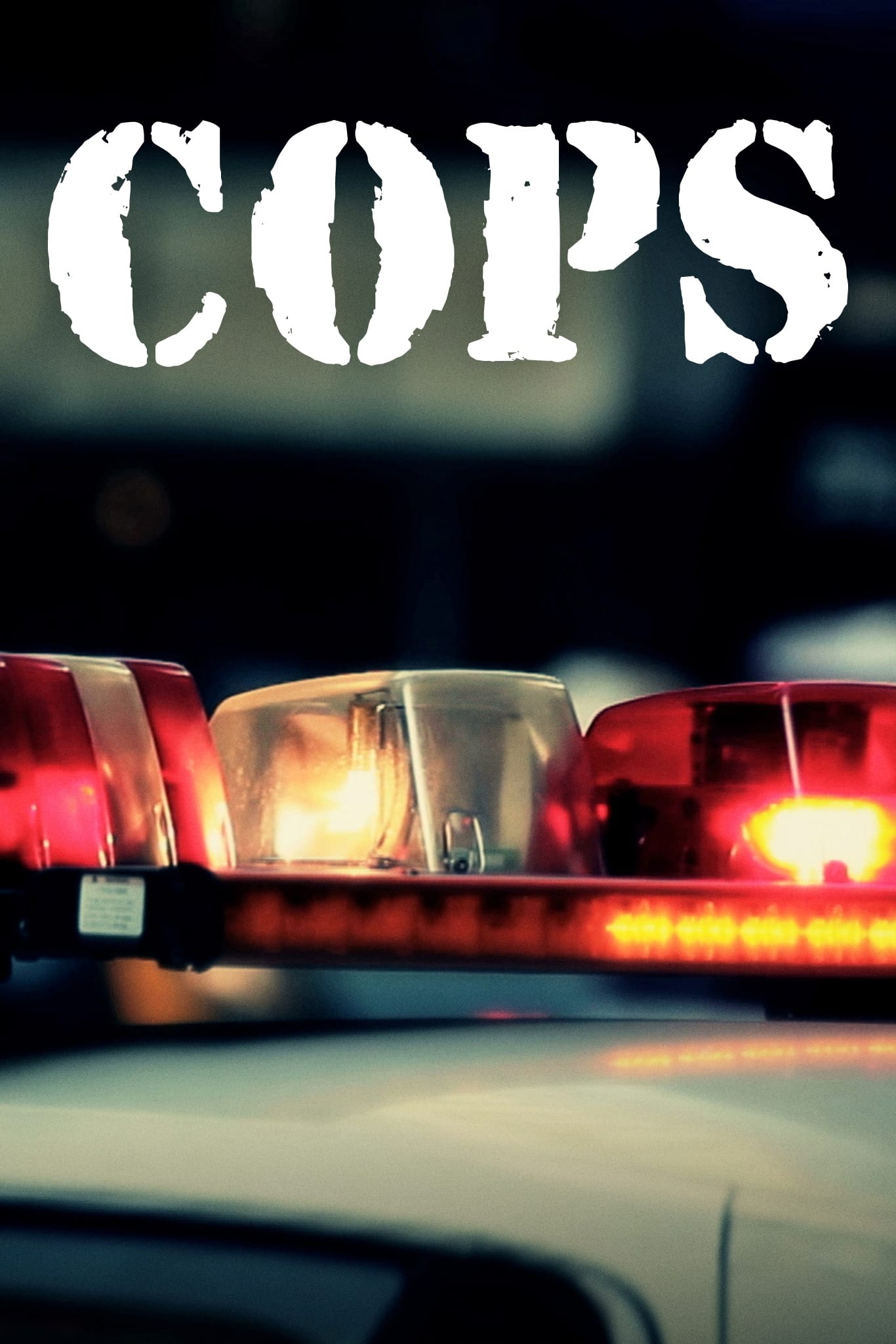 Immagine Poster serie TV 1 Cops