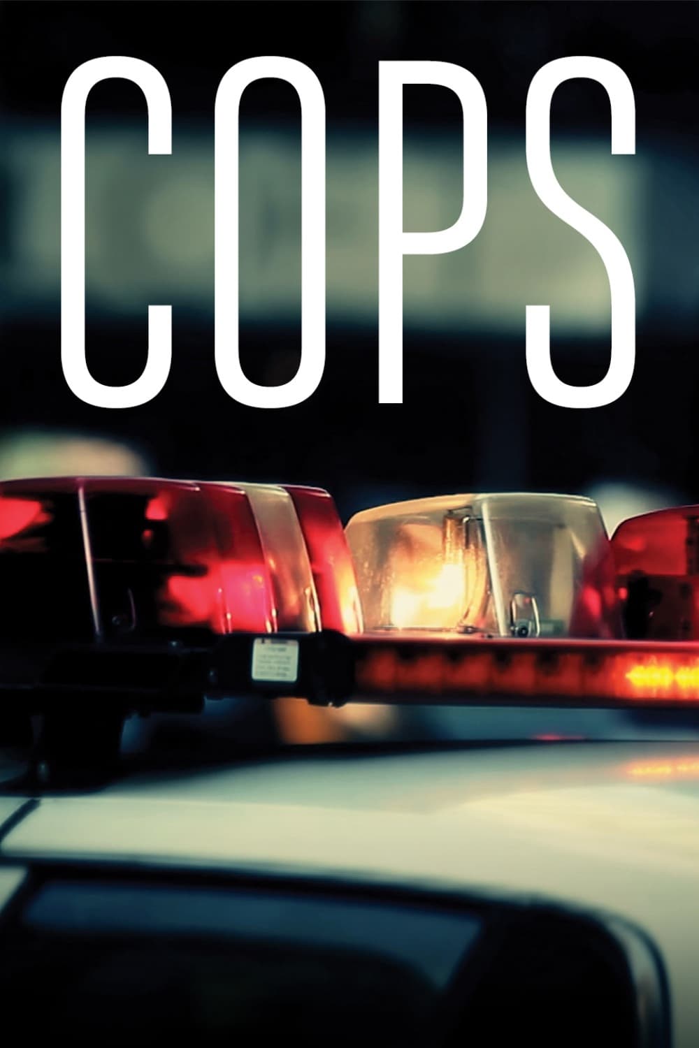 Immagine Poster serie TV 2 Cops