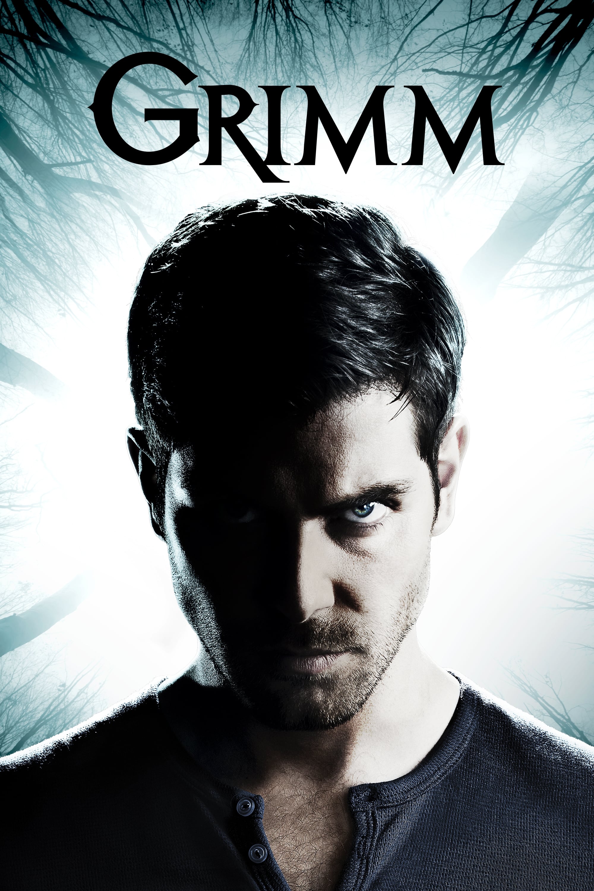 Immagine Poster serie TV 2 Grimm