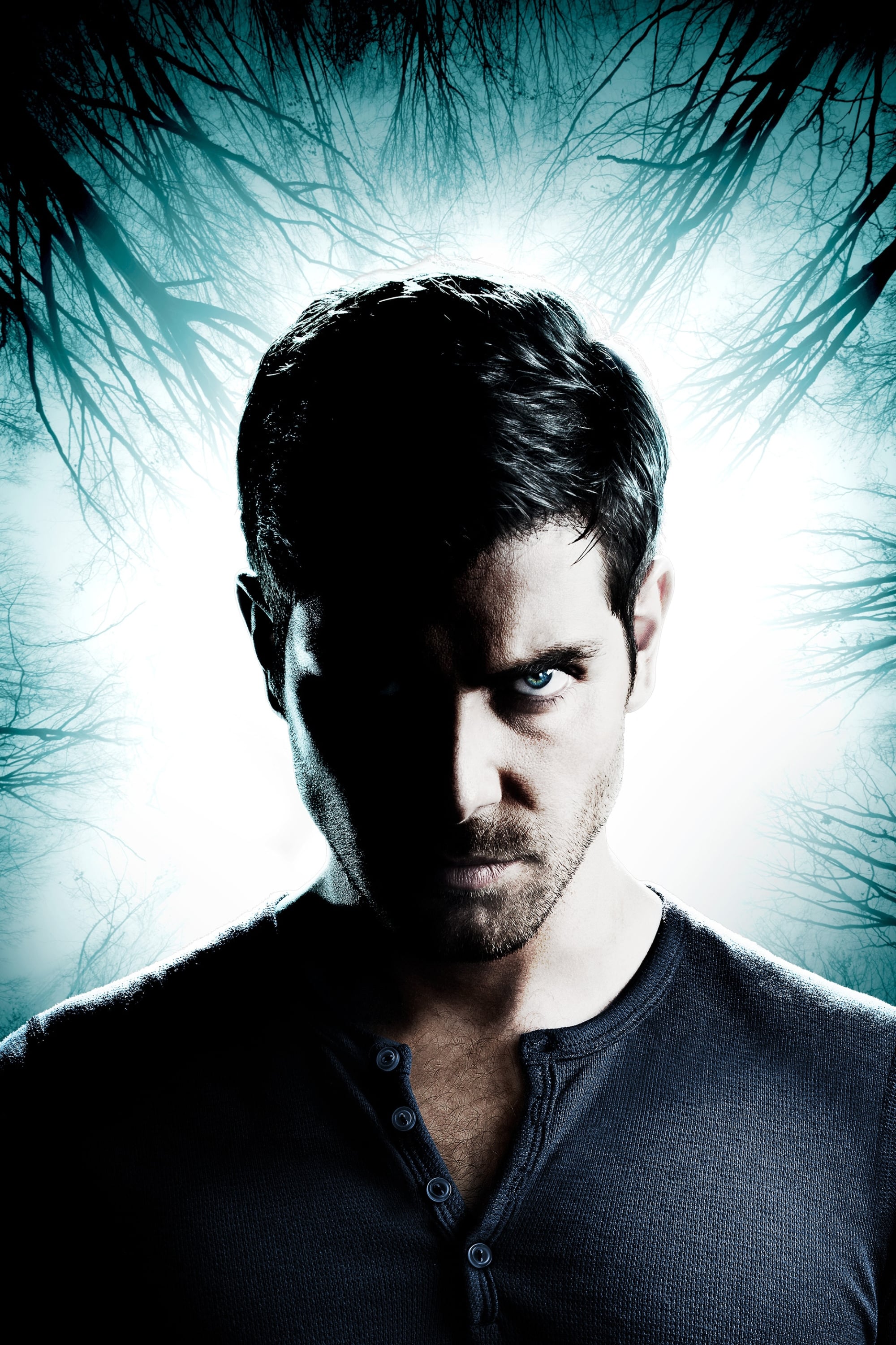 Immagine Poster serie TV 19 Grimm