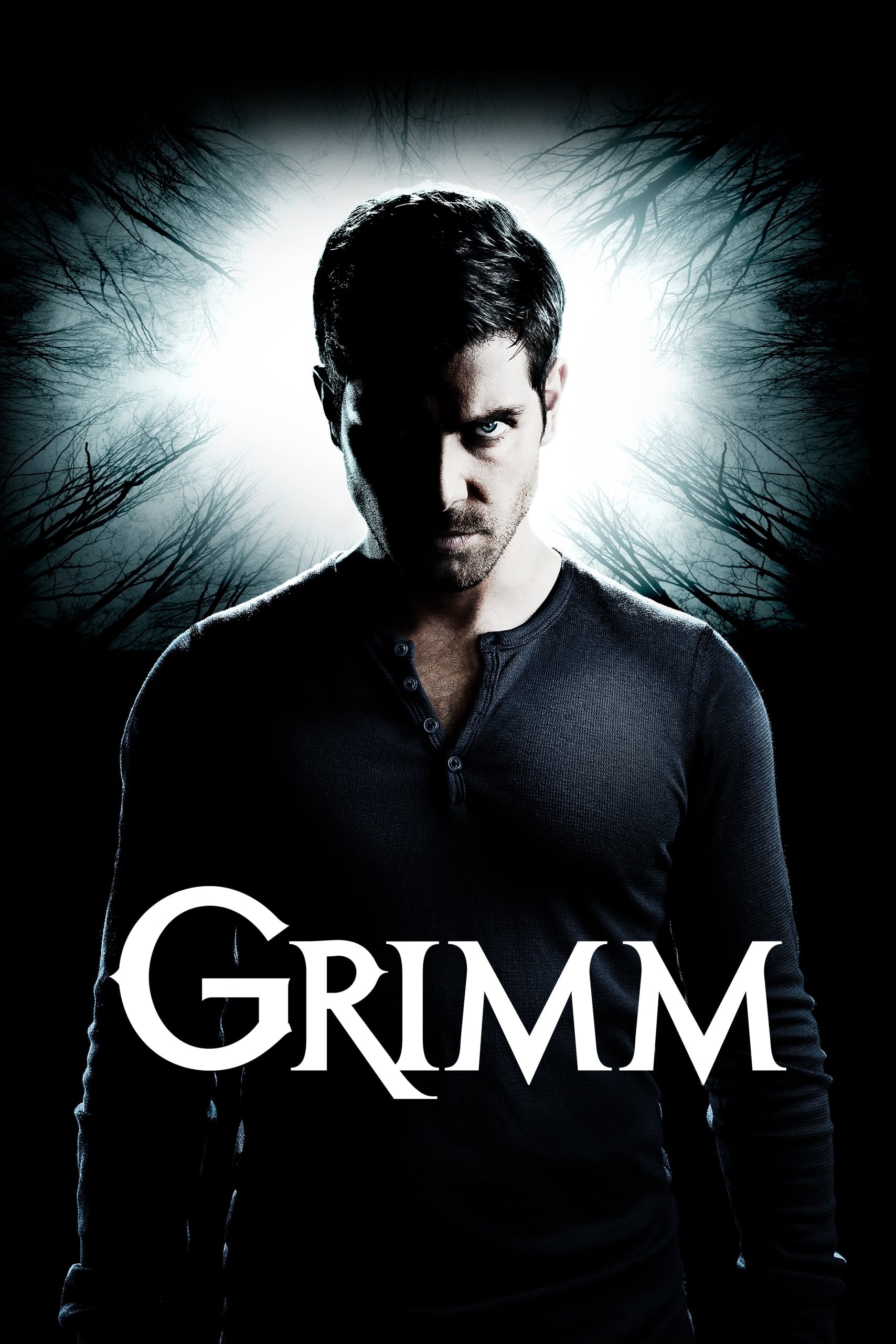 Immagine Poster serie TV 9 Grimm