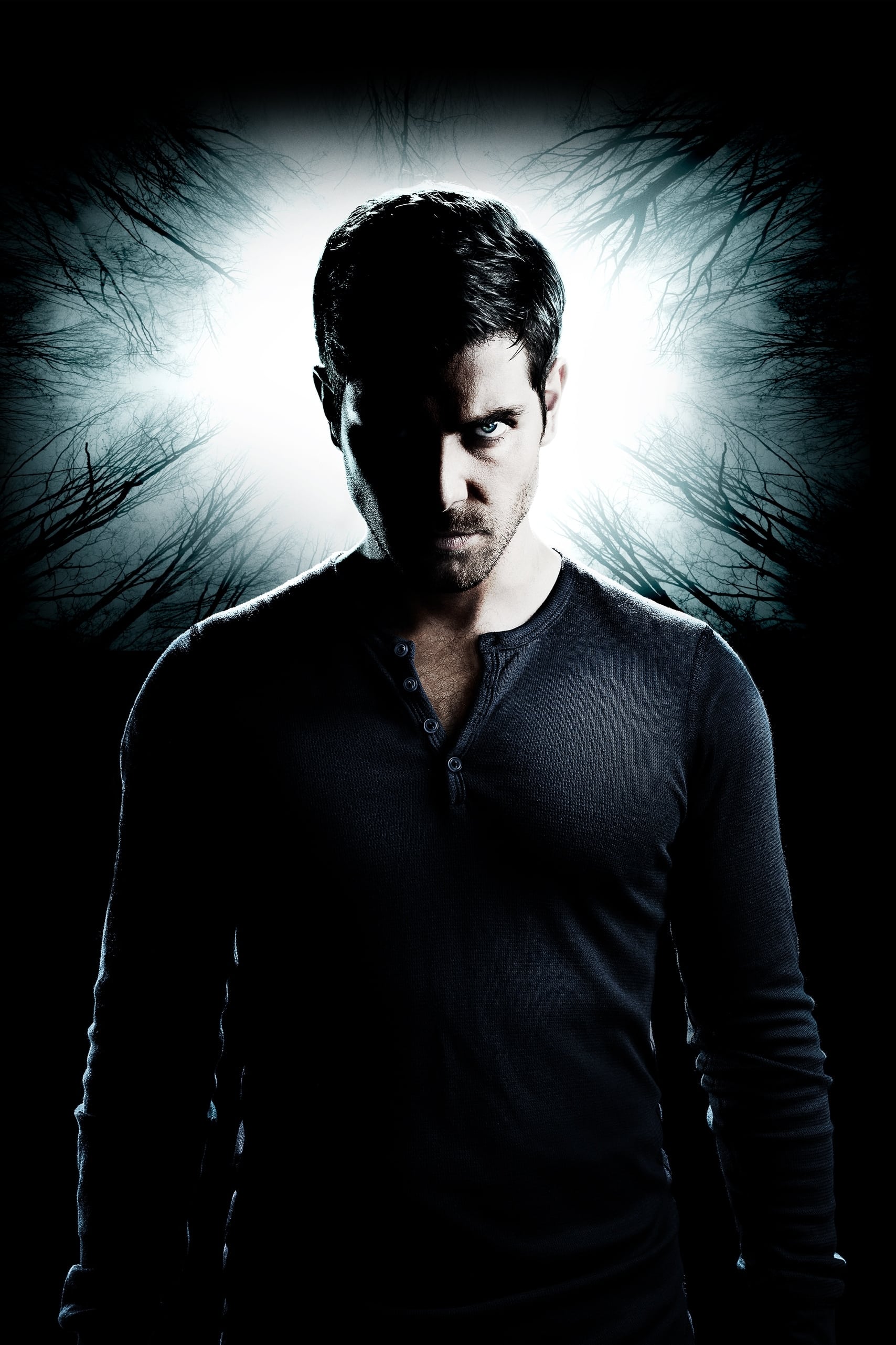 Immagine Poster serie TV 44 Grimm