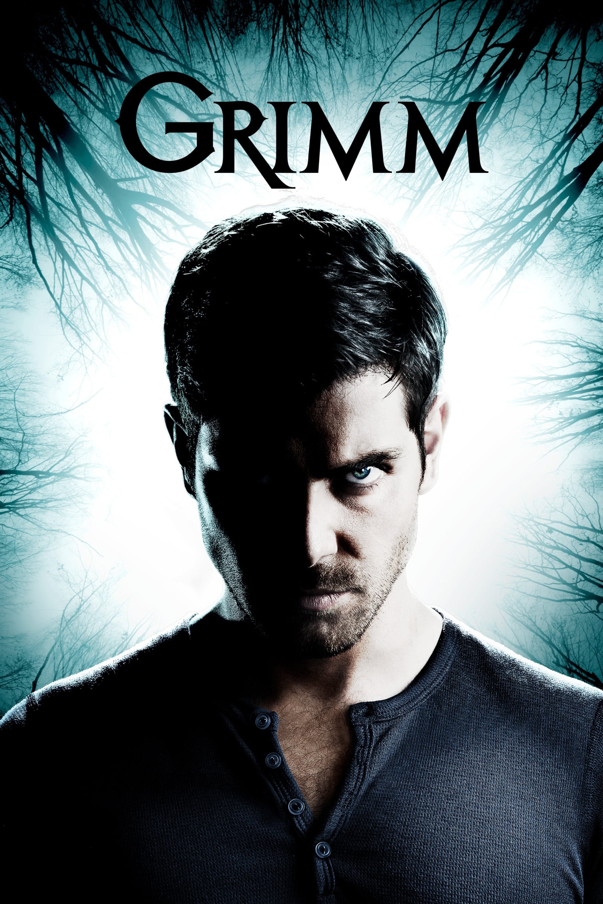 Immagine Poster serie TV 12 Grimm