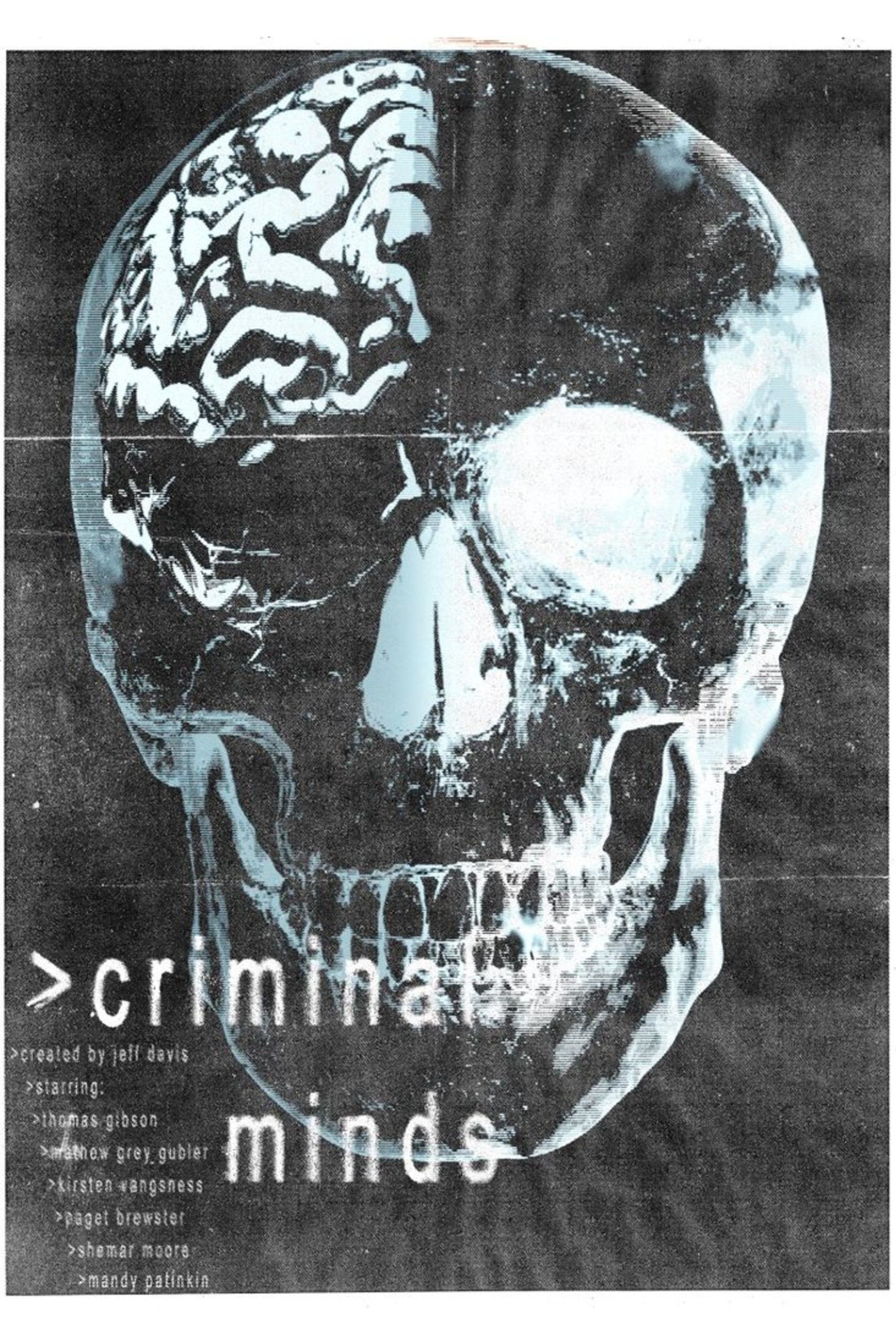 Immagine Poster serie TV 23 Criminal Minds