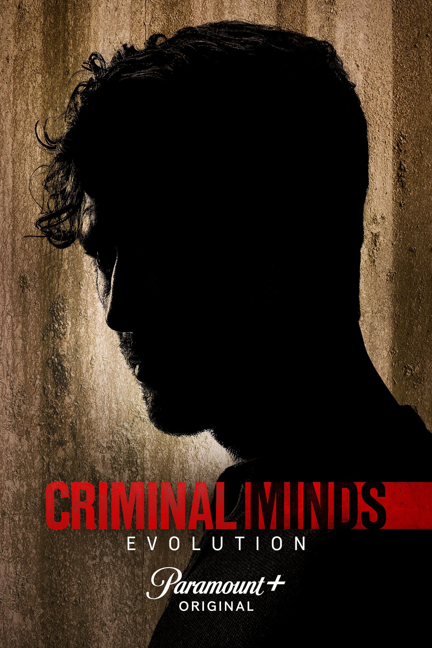 Immagine Poster serie TV 27 Criminal Minds