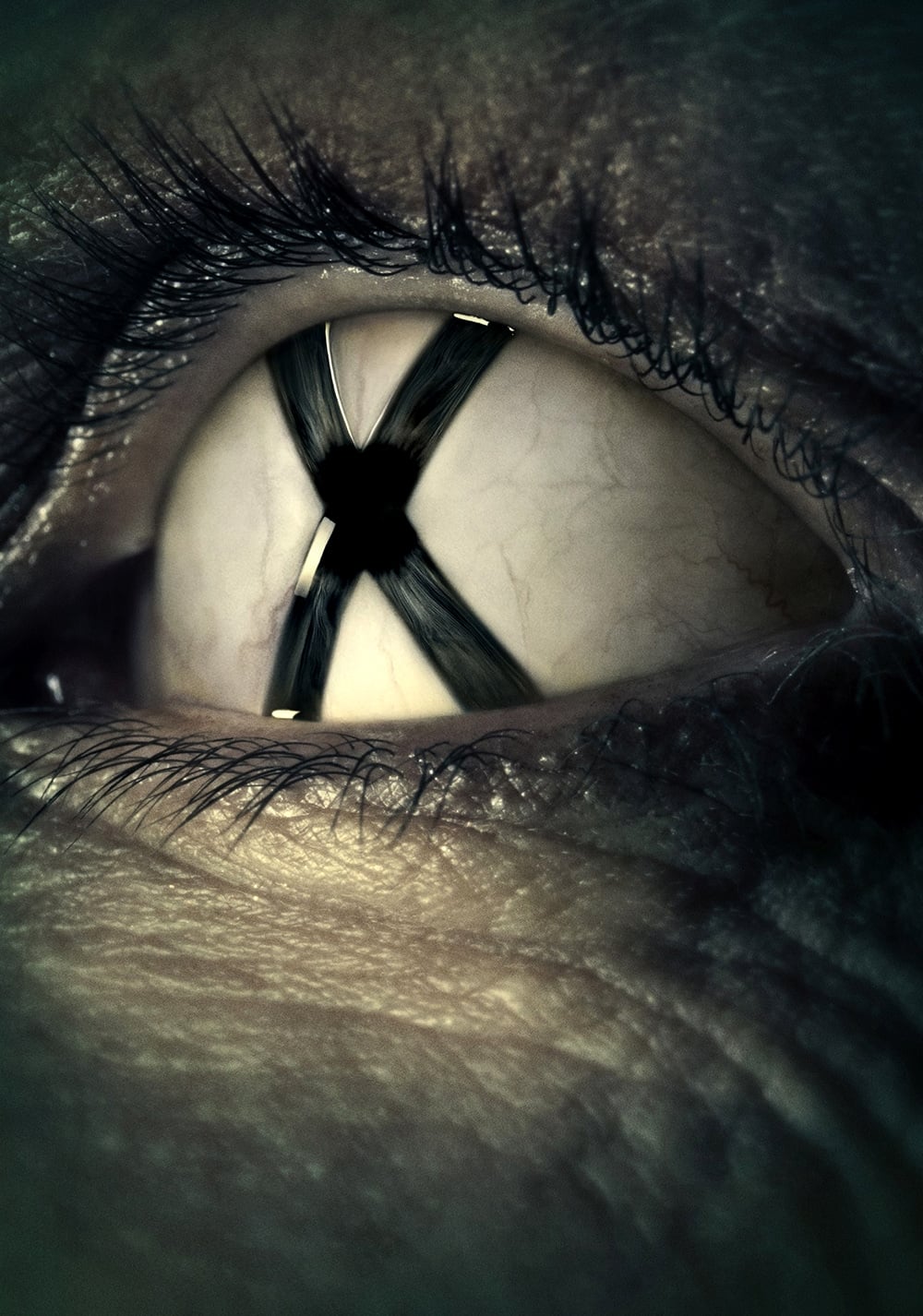 Immagine Poster serie TV 78 X-Files
