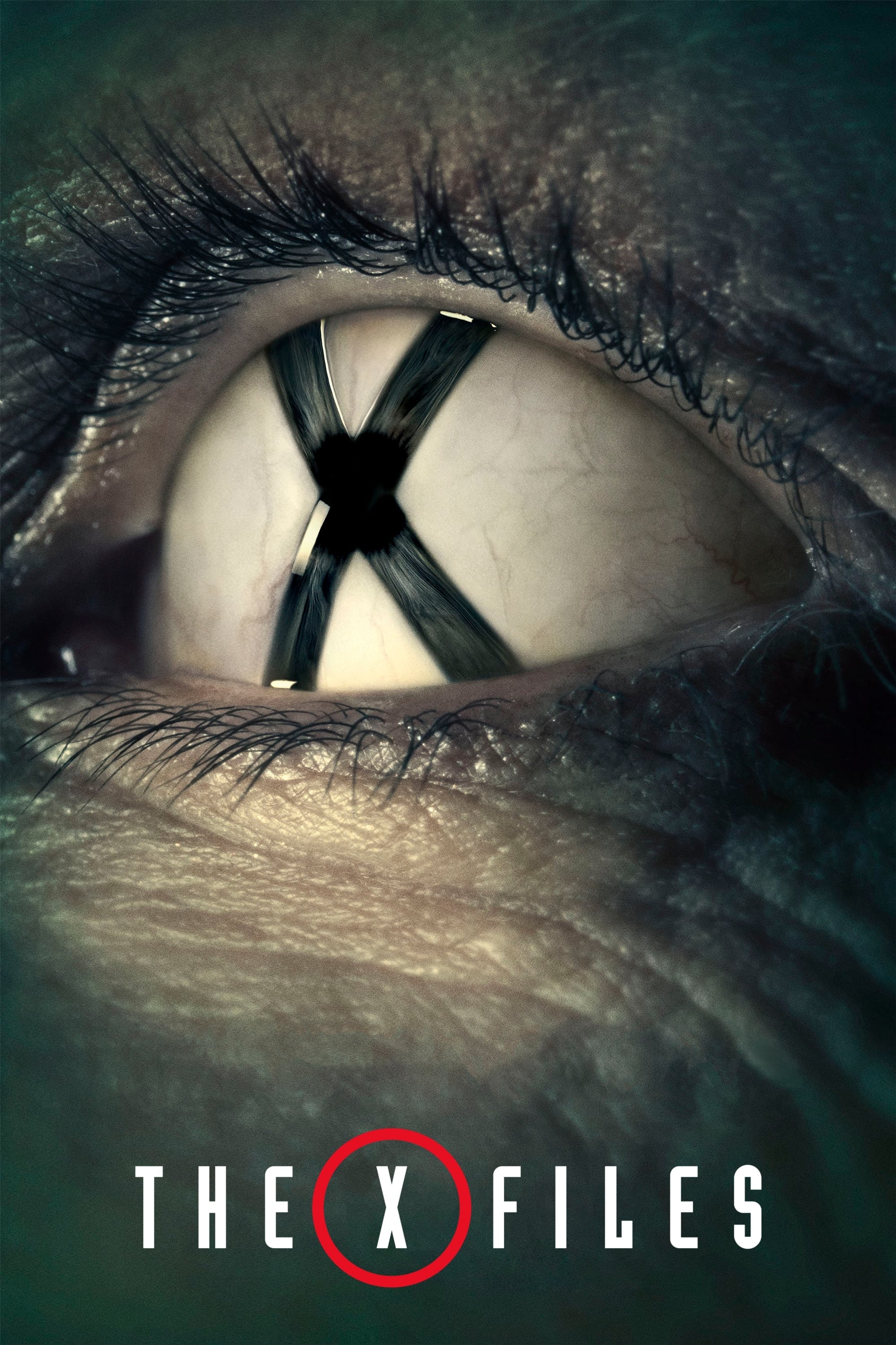 Immagine Poster serie TV 26 X-Files
