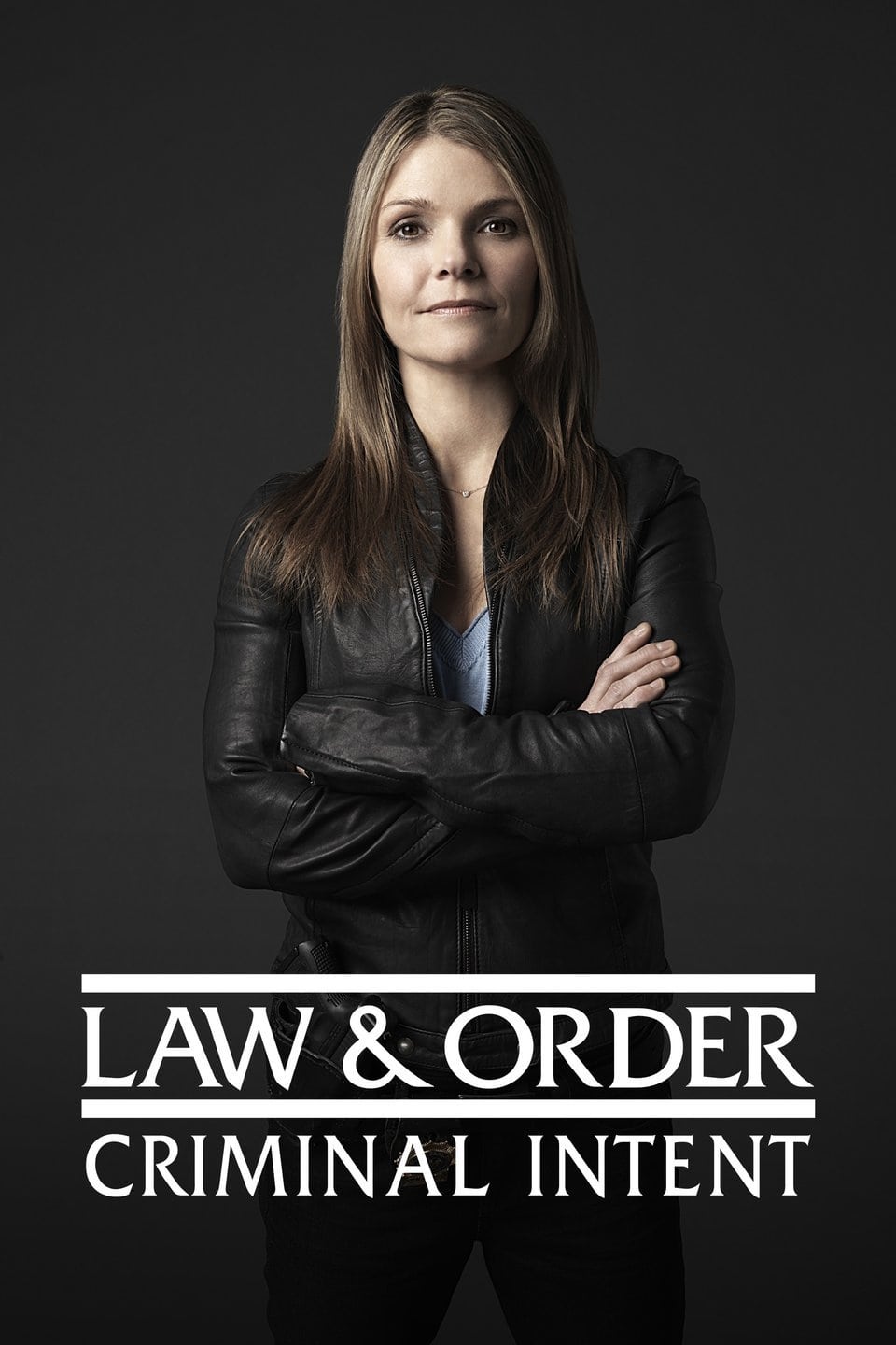 Immagine Poster serie TV 5 Law & Order: Criminal Intent