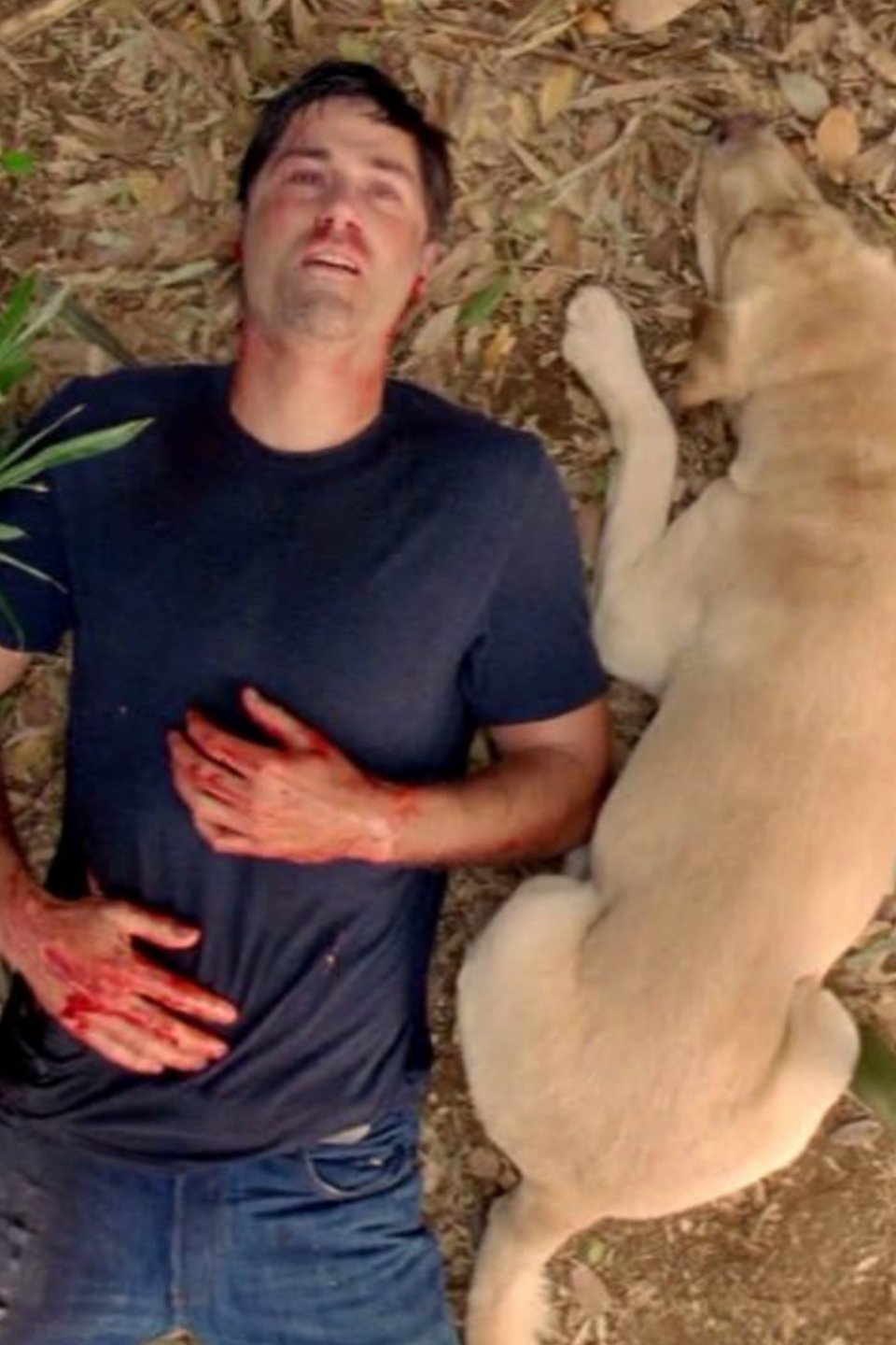 Immagine Poster serie TV 26 Lost
