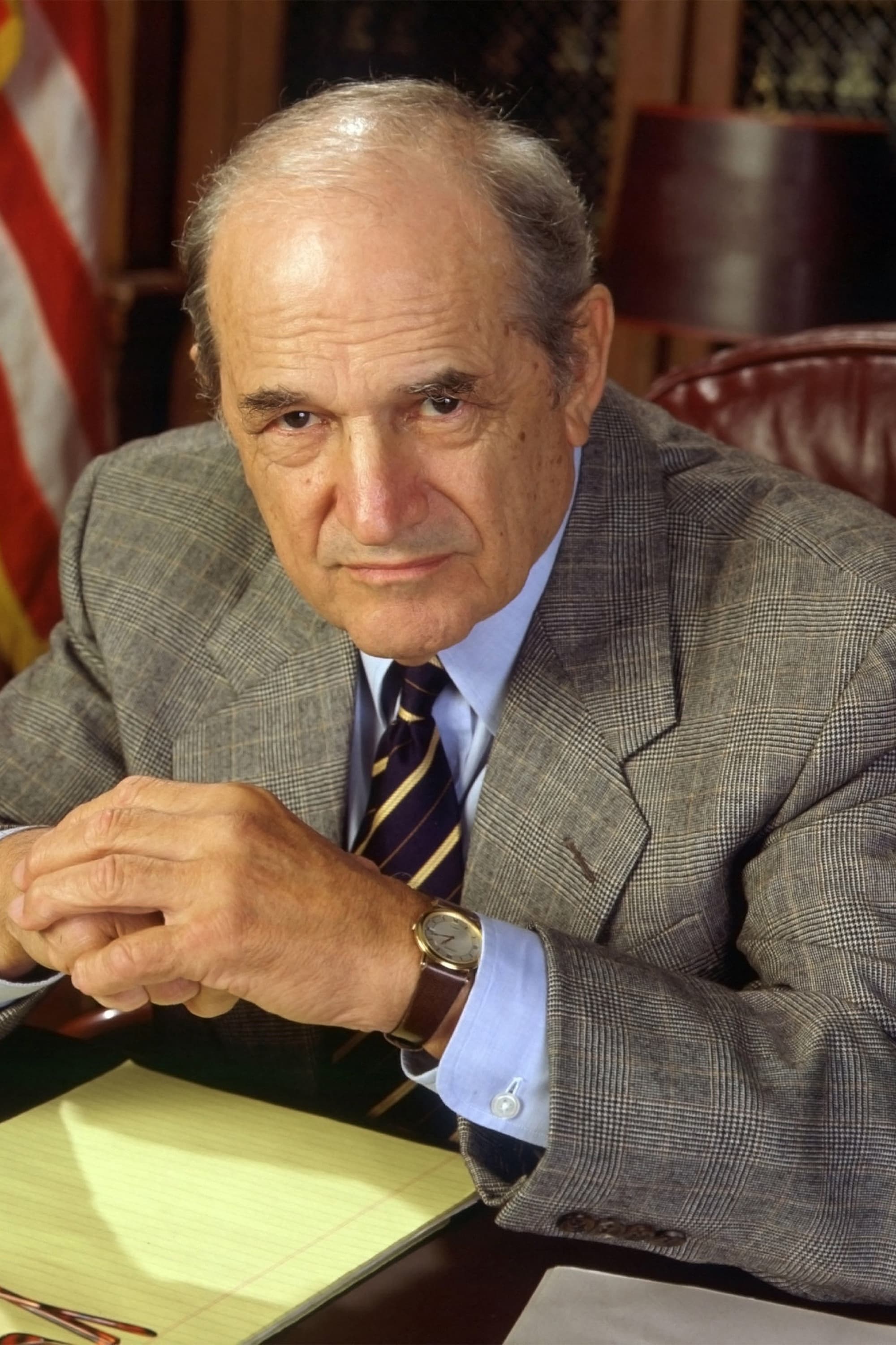 Immagine Poster serie TV 28 Law & Order - I due volti della giustizia