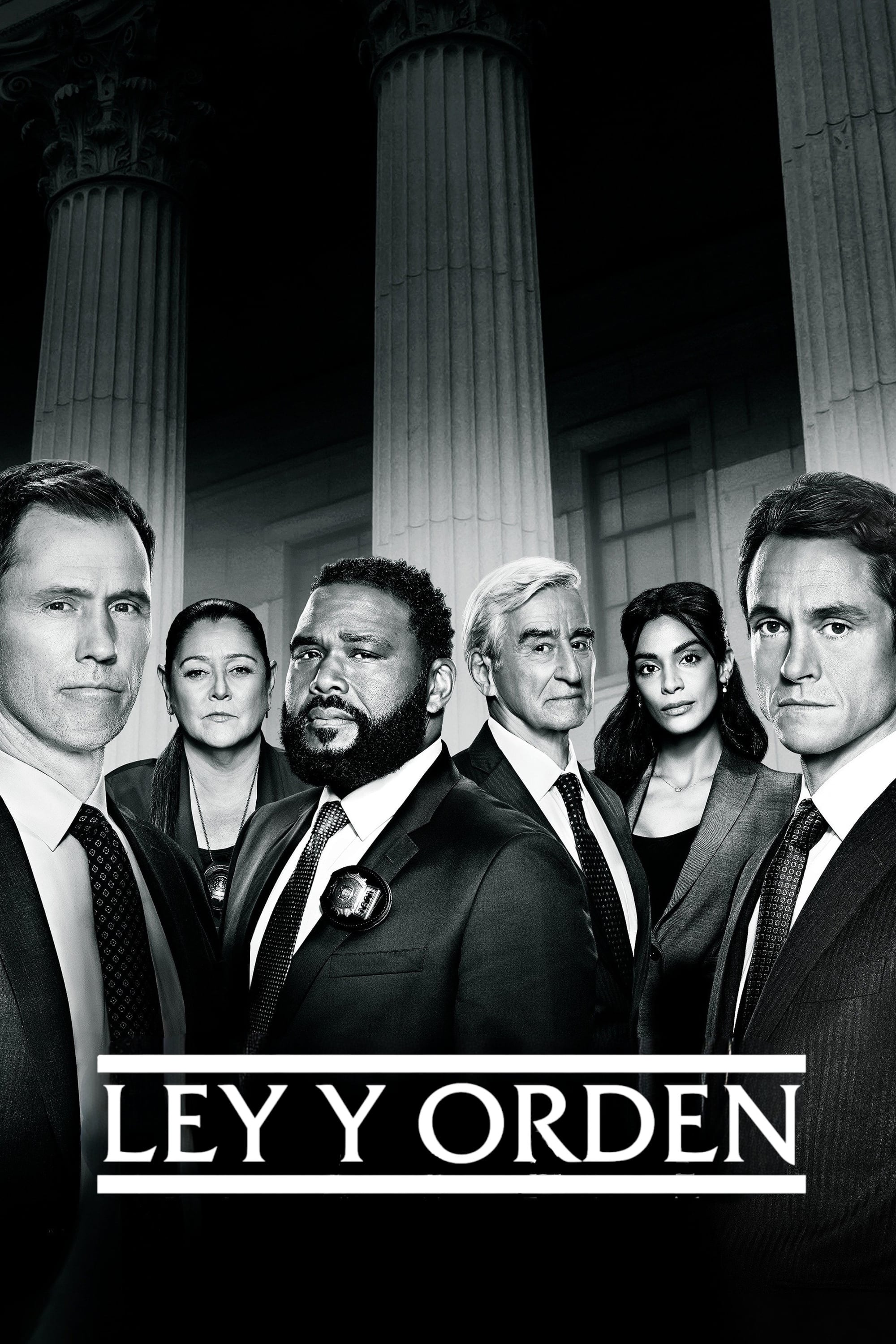Immagine Poster serie TV 38 Law & Order - I due volti della giustizia