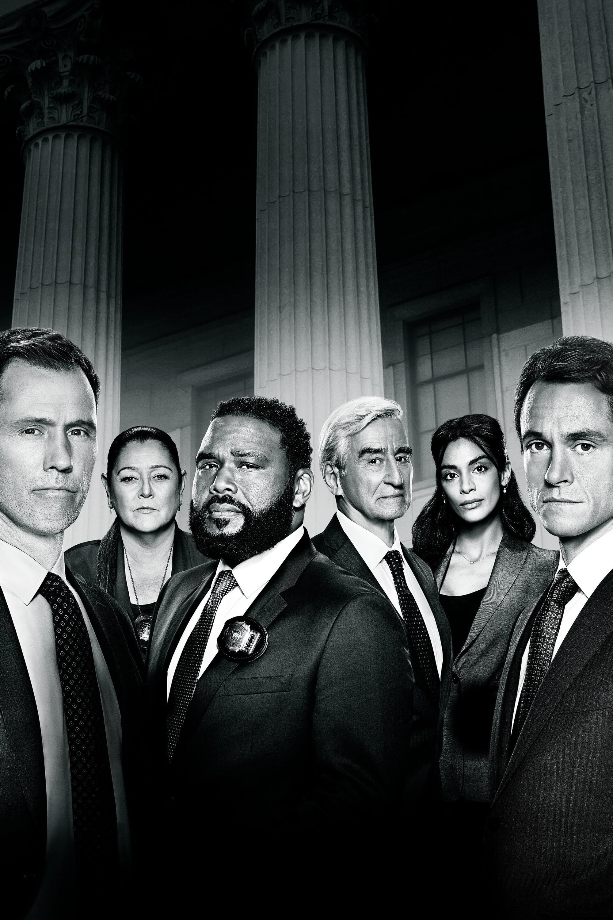Immagine Poster serie TV 15 Law & Order - I due volti della giustizia