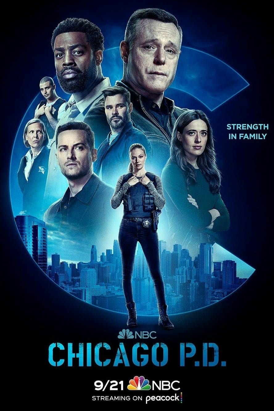 Immagine Poster serie TV 22 Chicago P.D.