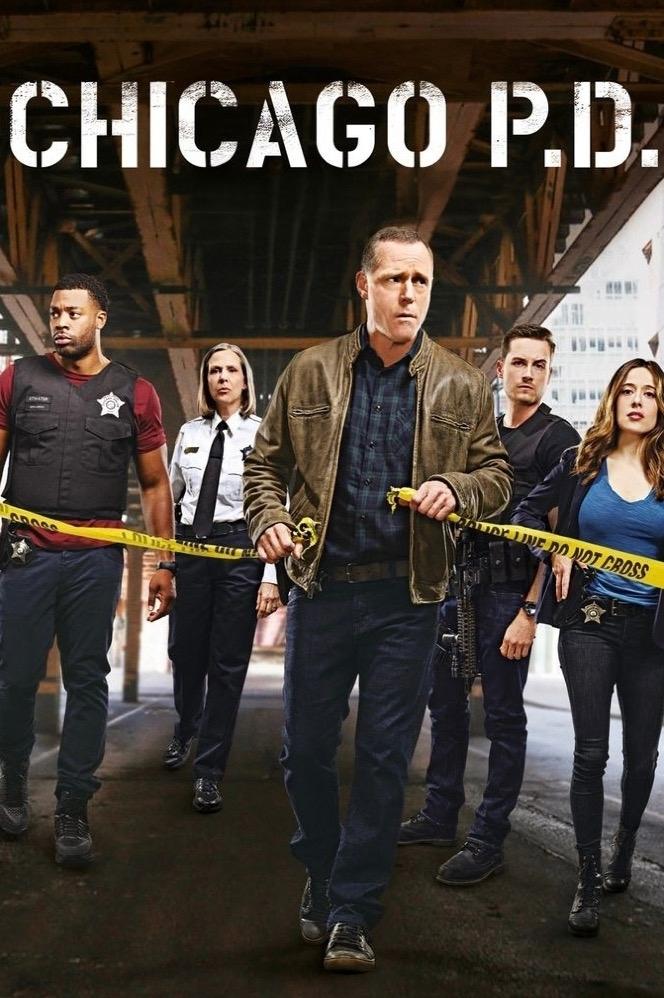 Immagine Poster serie TV 9 Chicago P.D.