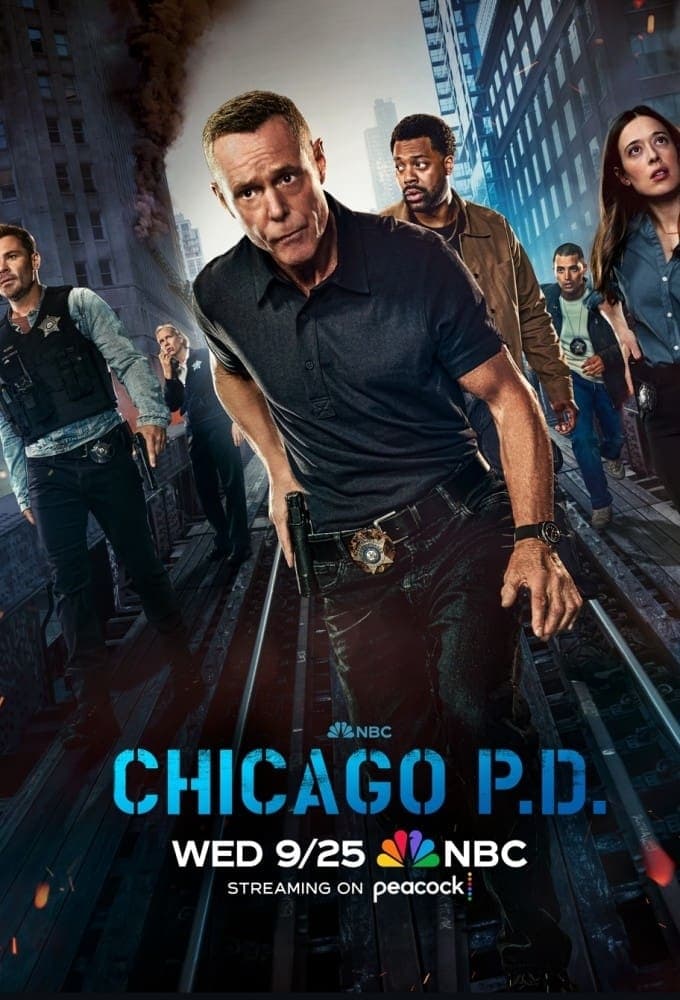 Immagine Poster serie TV 15 Chicago P.D.
