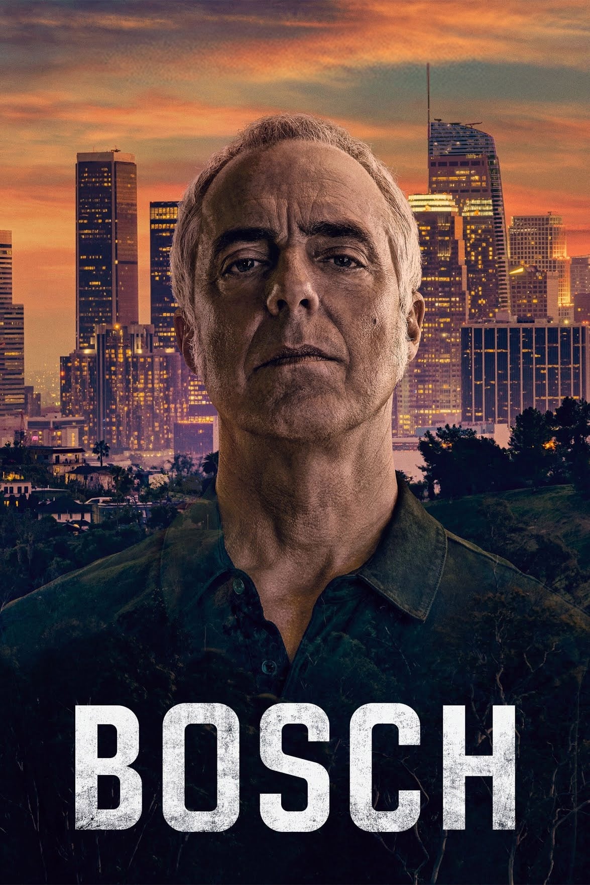 Immagine Poster serie TV 1 Bosch