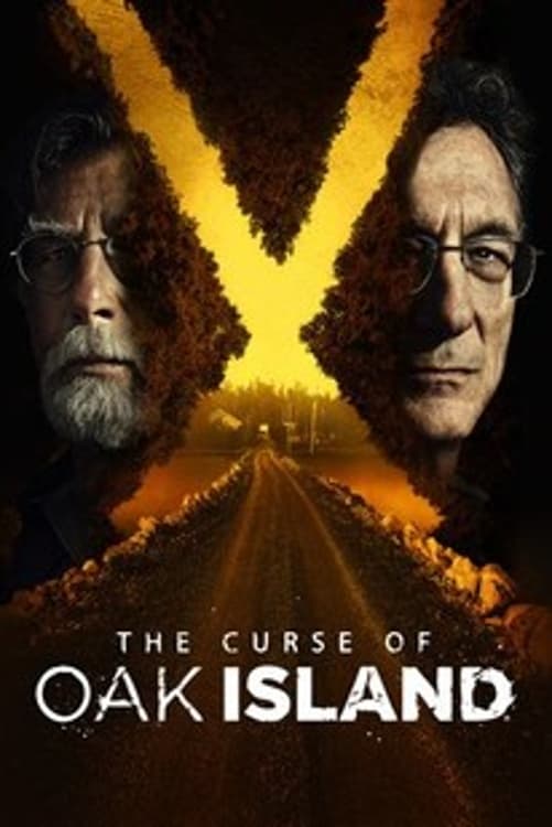 Immagine Poster serie TV 14 Oak Island e il tesoro maledetto
