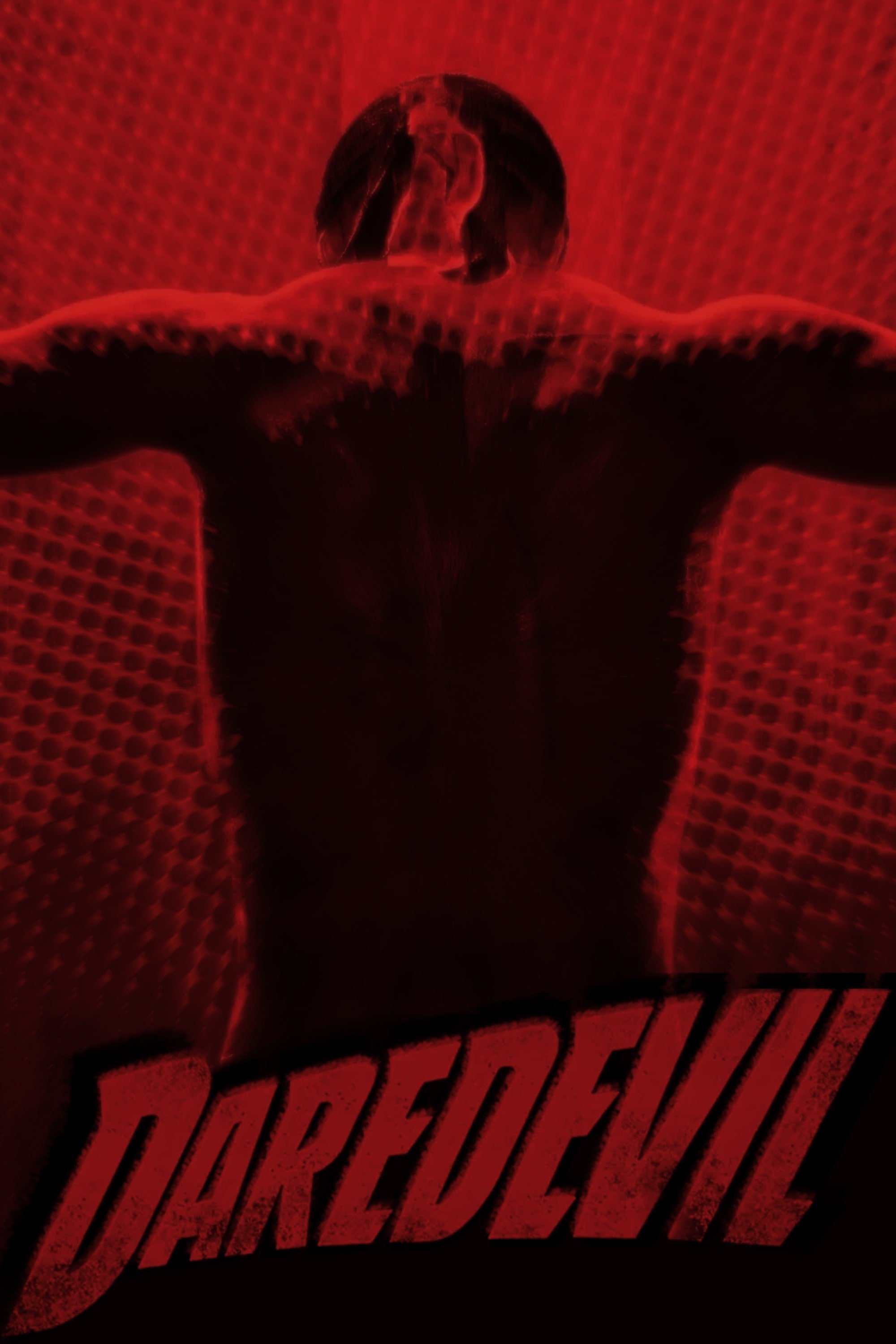 Immagine Poster serie TV 100 Daredevil