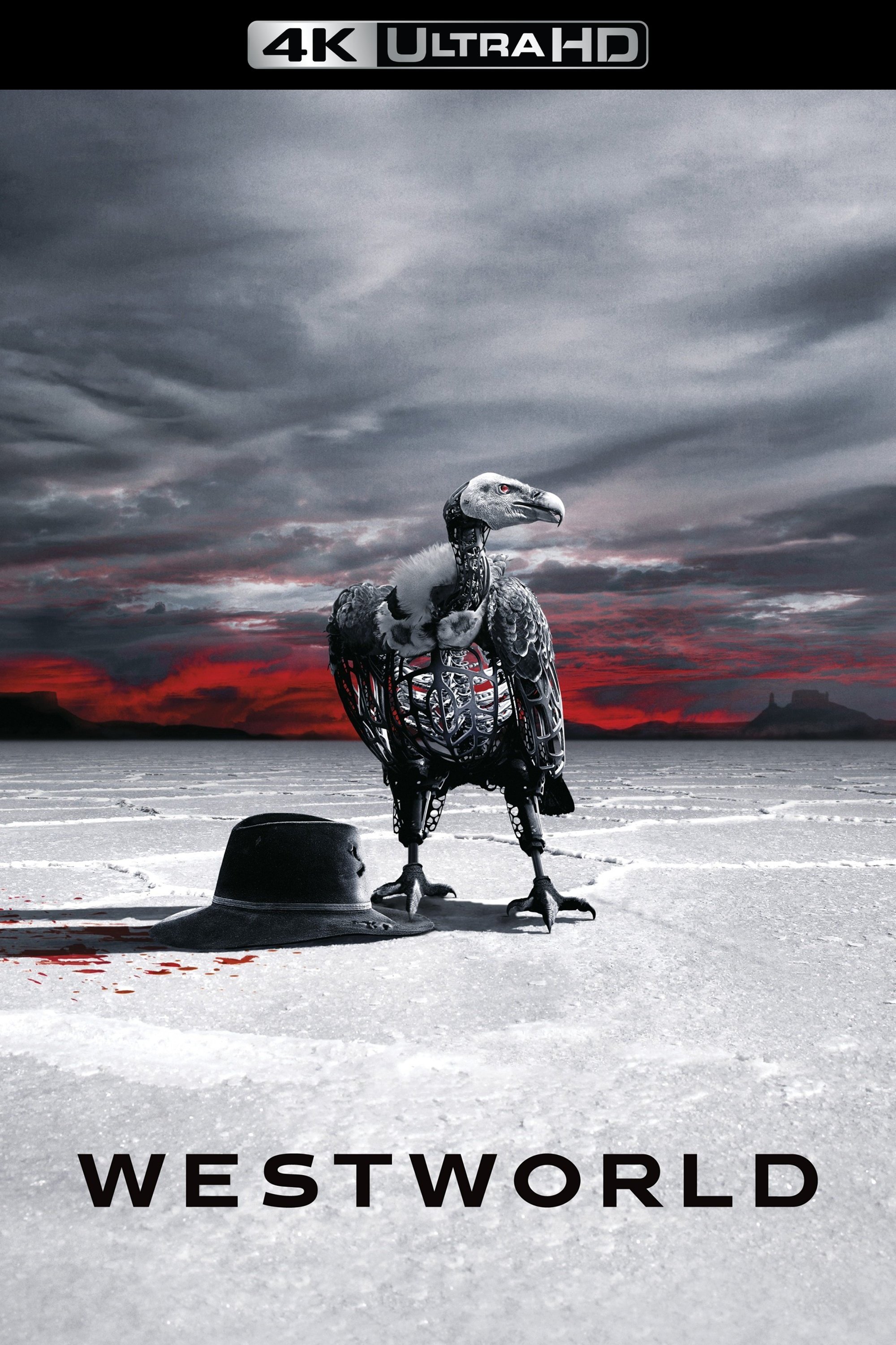 Immagine Poster serie TV 30 Westworld - Dove tutto è concesso
