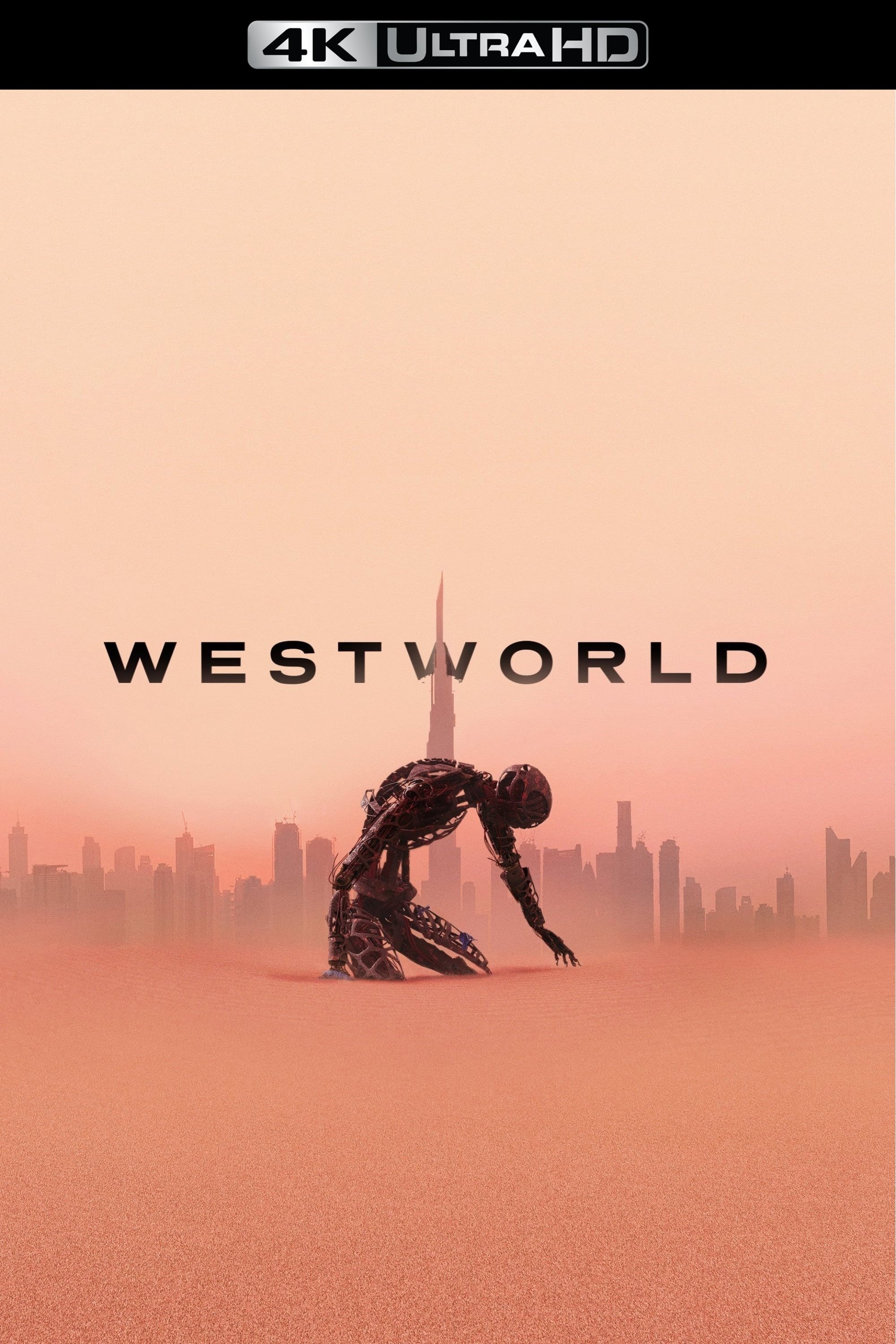 Immagine Poster serie TV 36 Westworld - Dove tutto è concesso