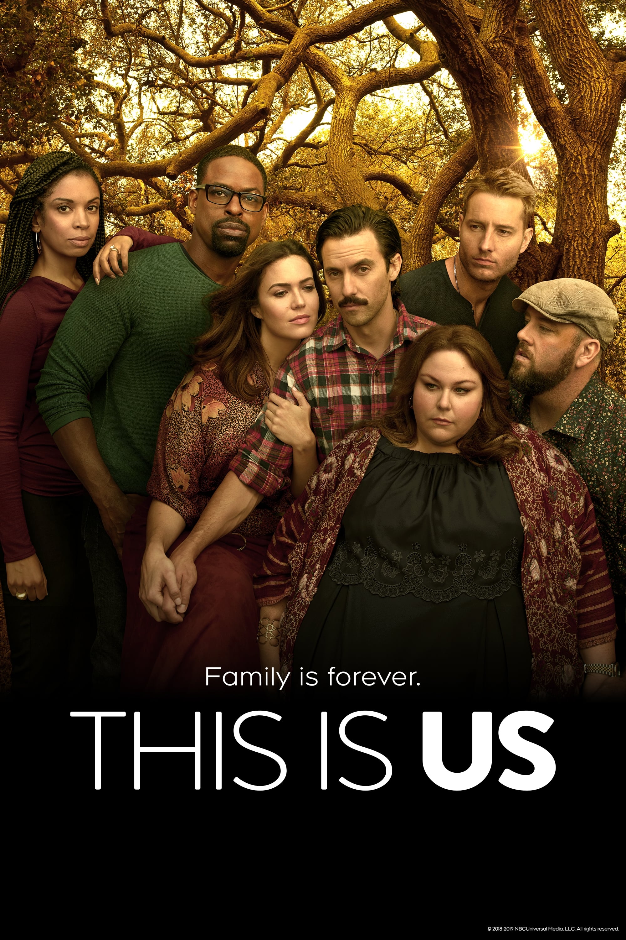 Immagine Poster serie TV 29 This Is Us