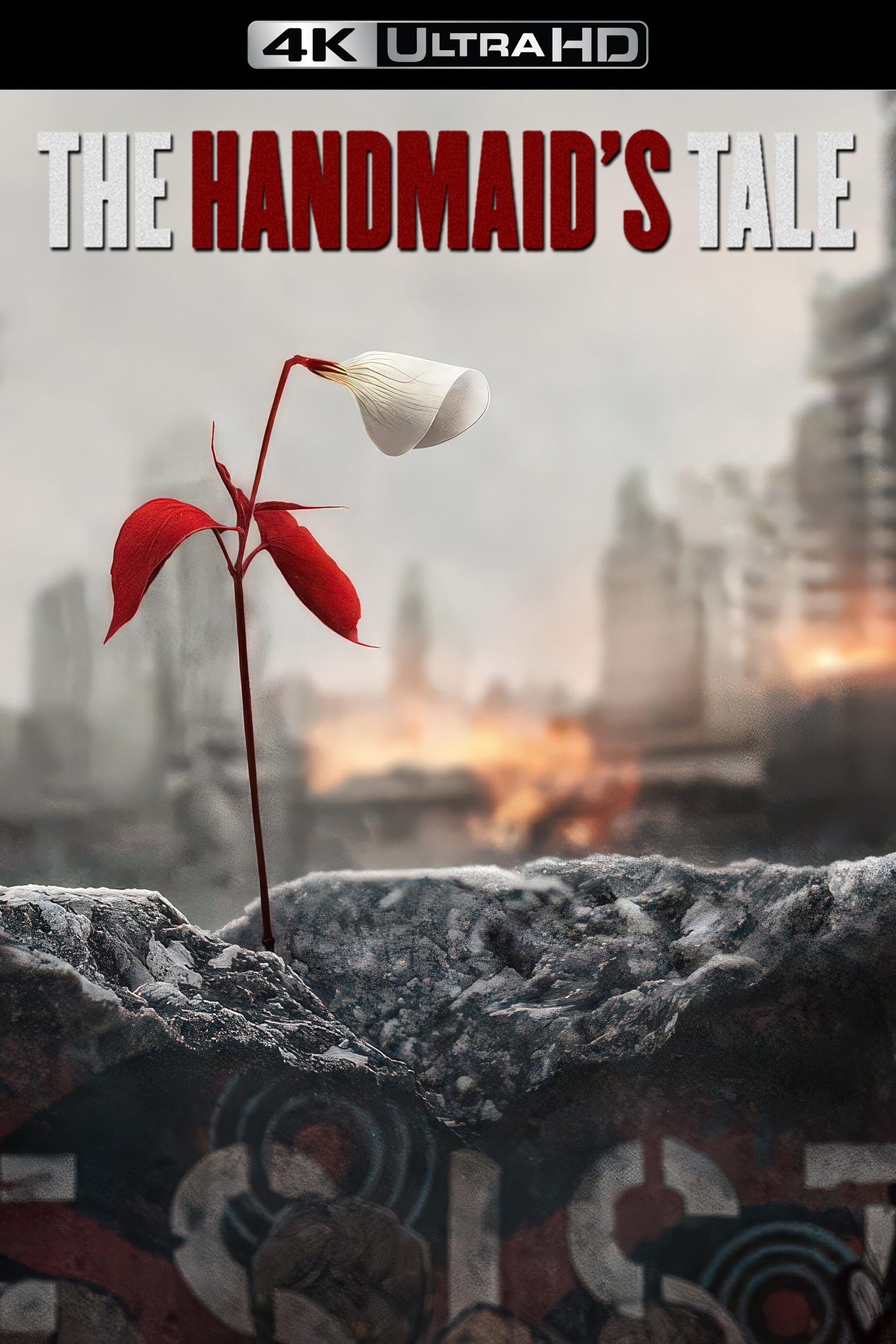 Immagine Poster serie TV 106 The Handmaid's Tale - Il racconto dell'ancella