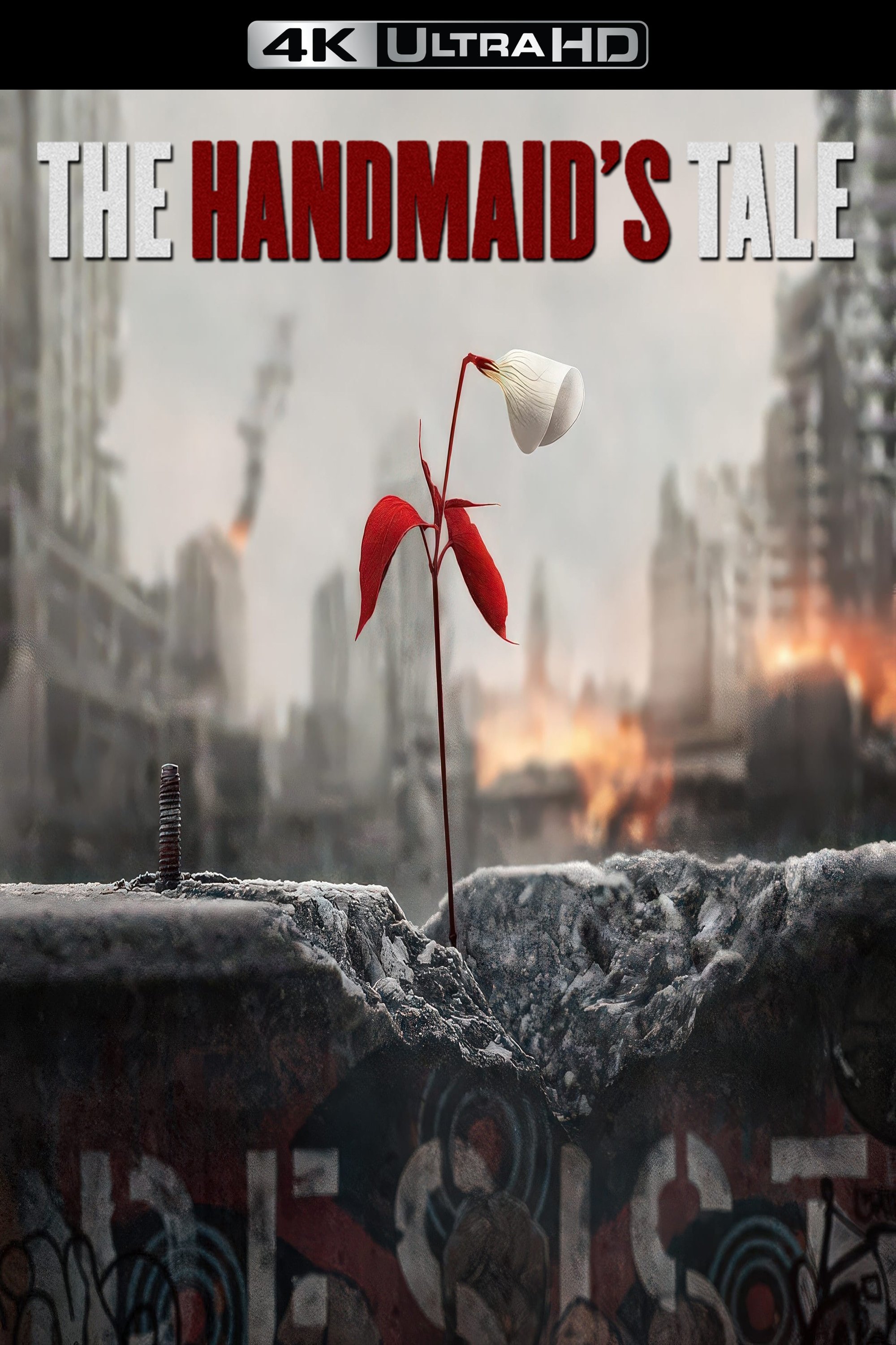 Immagine Poster serie TV 107 The Handmaid's Tale - Il racconto dell'ancella