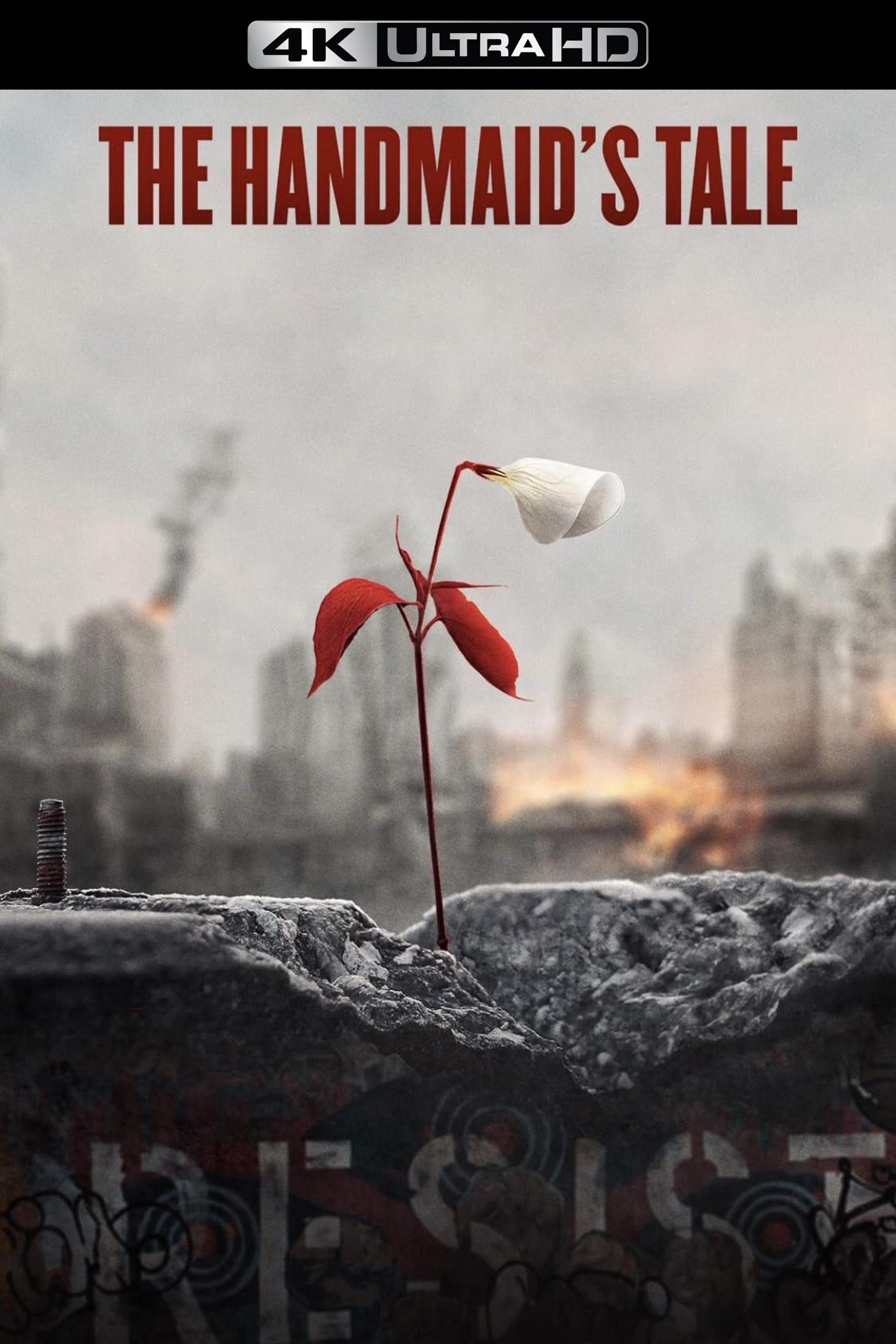 Immagine Poster serie TV 35 The Handmaid's Tale - Il racconto dell'ancella