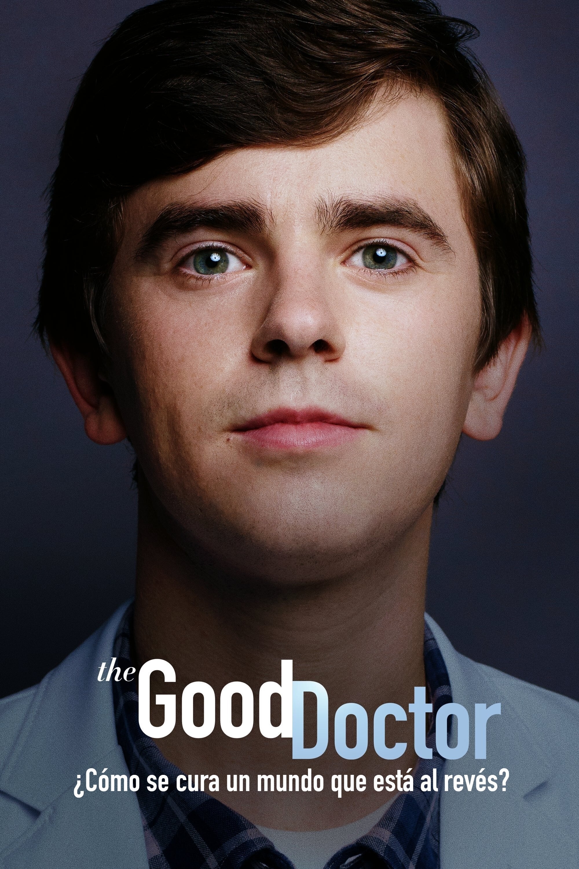 Immagine Poster serie TV 25 The Good Doctor