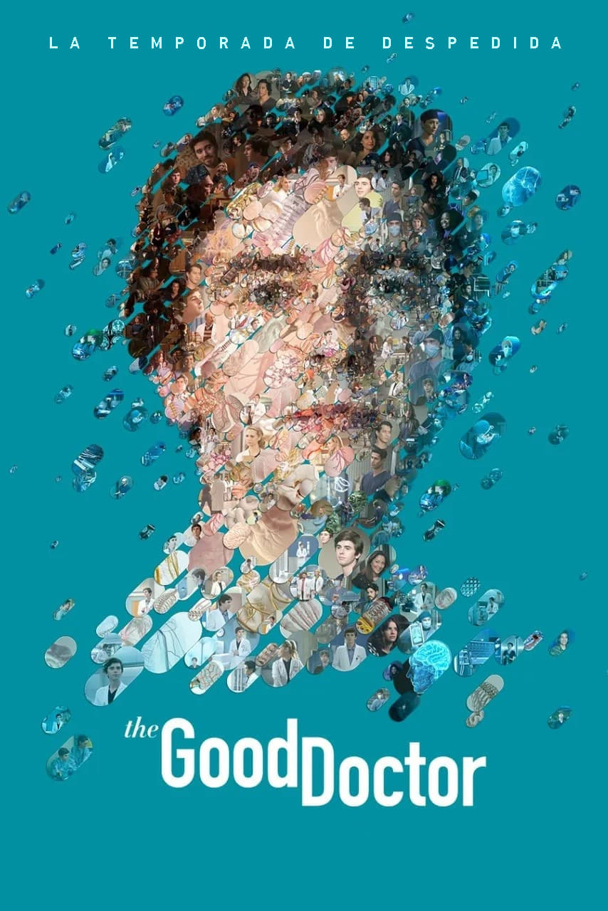 Immagine Poster serie TV 15 The Good Doctor