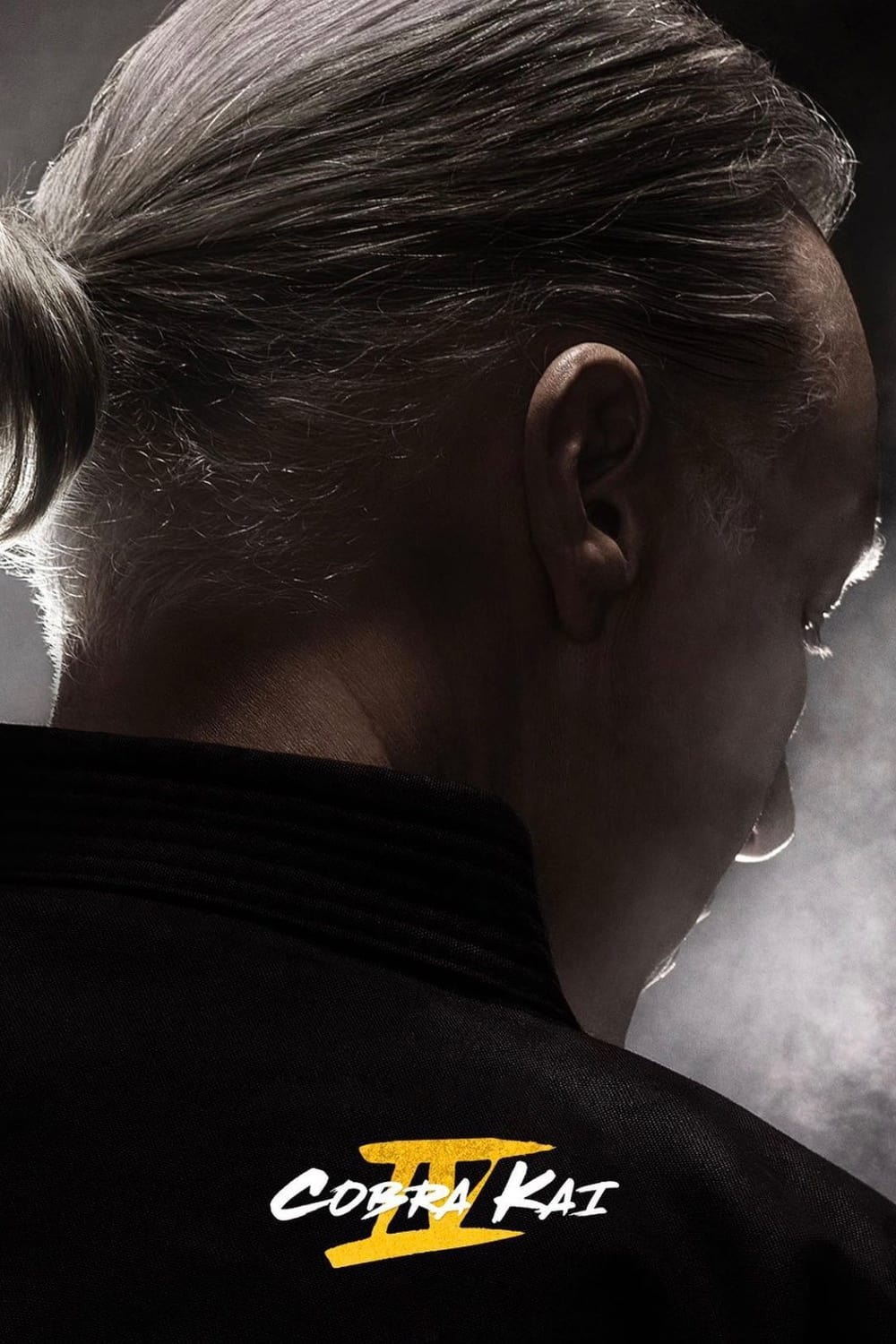Immagine Poster serie TV 39 Cobra Kai