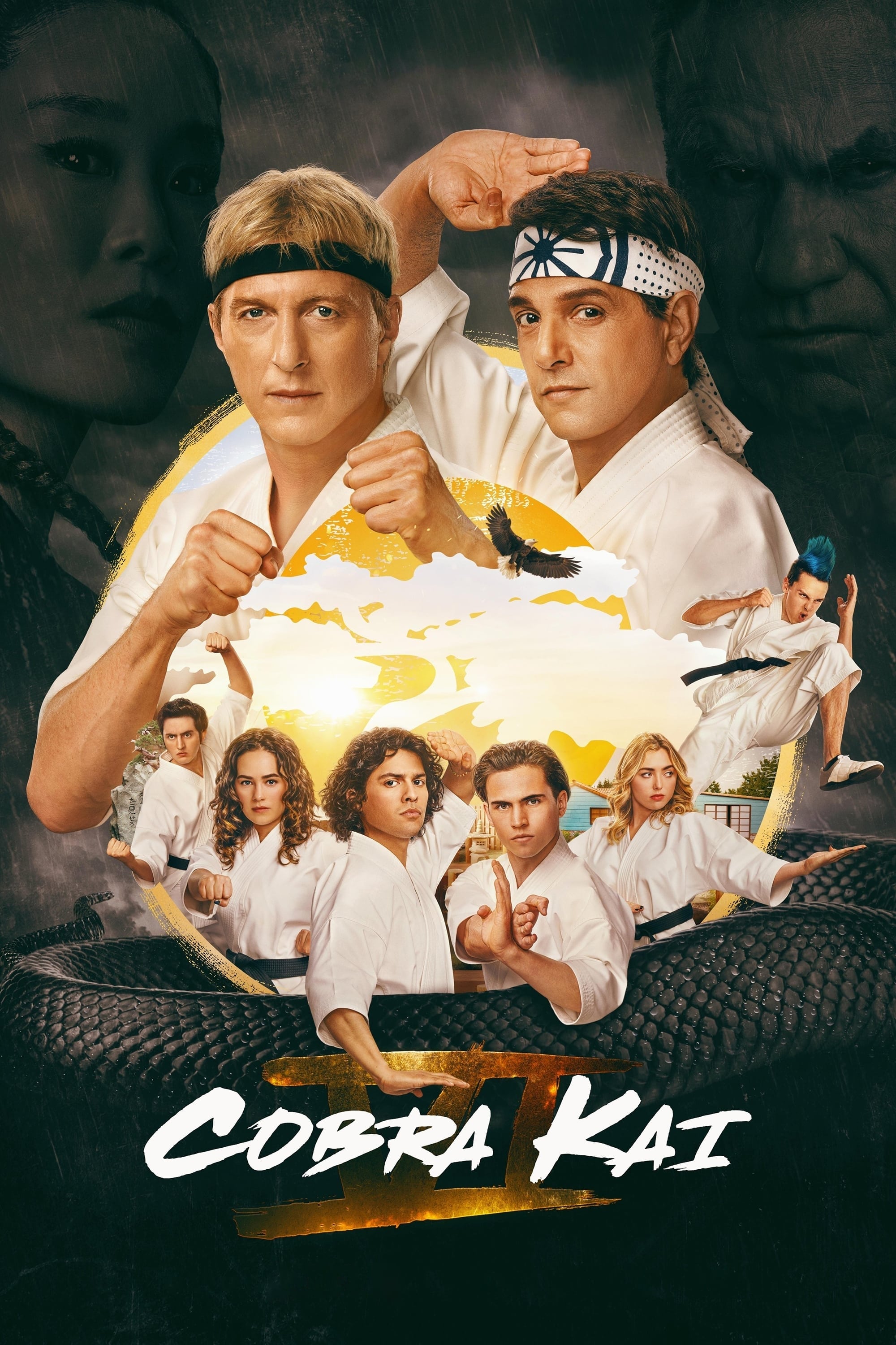 Immagine Poster serie TV 50 Cobra Kai