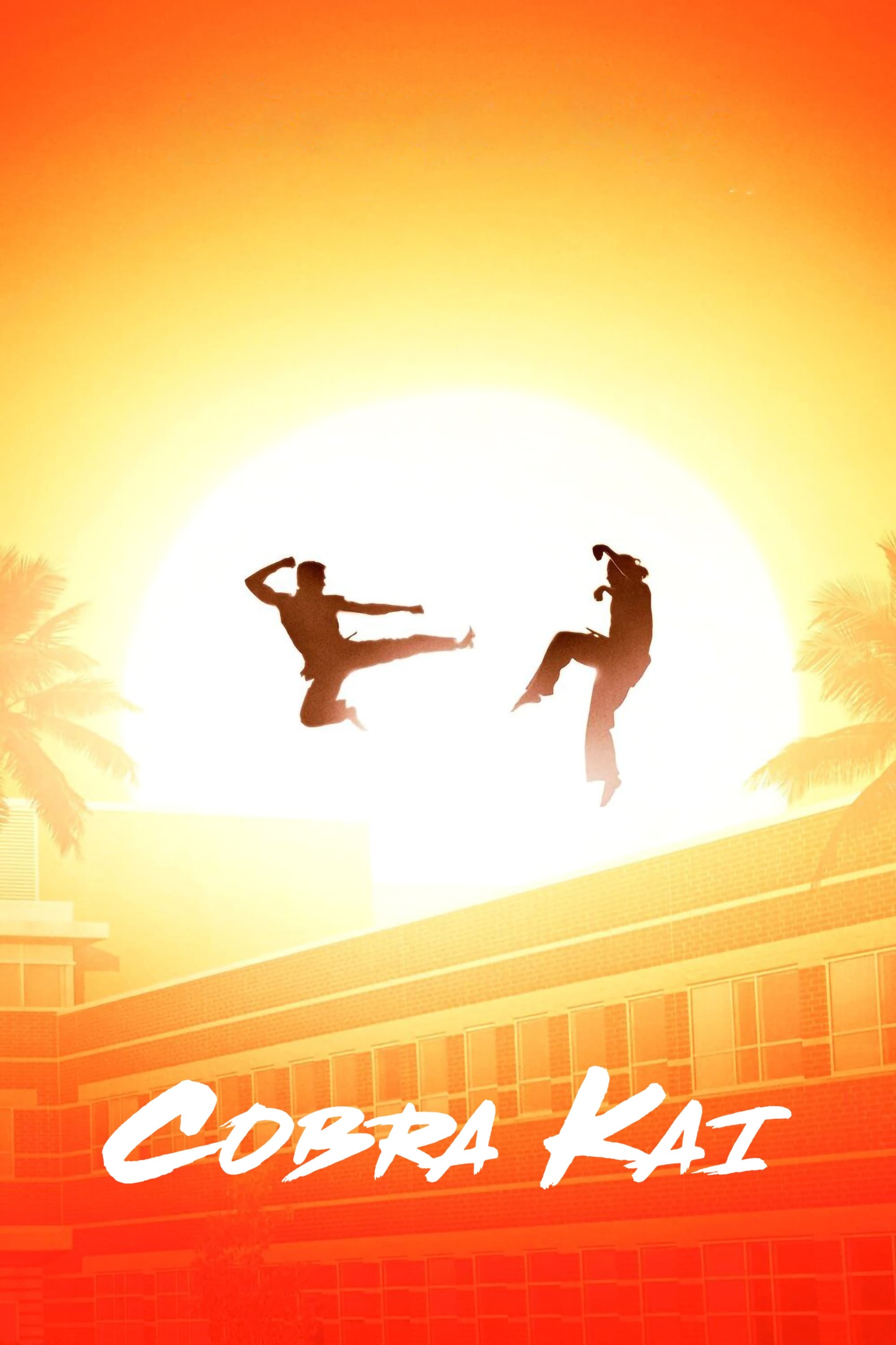 Immagine Poster serie TV 20 Cobra Kai