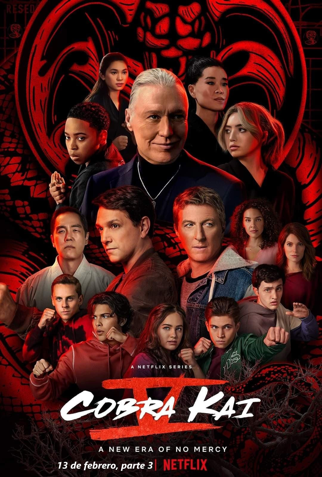 Immagine Poster serie TV 71 Cobra Kai