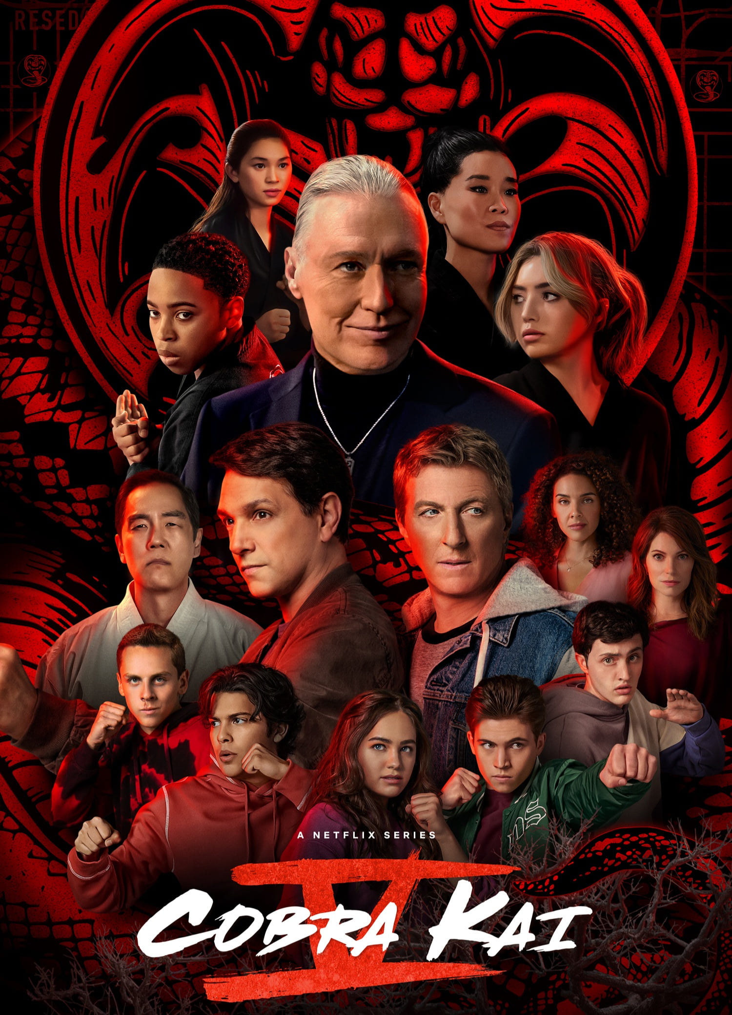 Immagine Poster serie TV 41 Cobra Kai