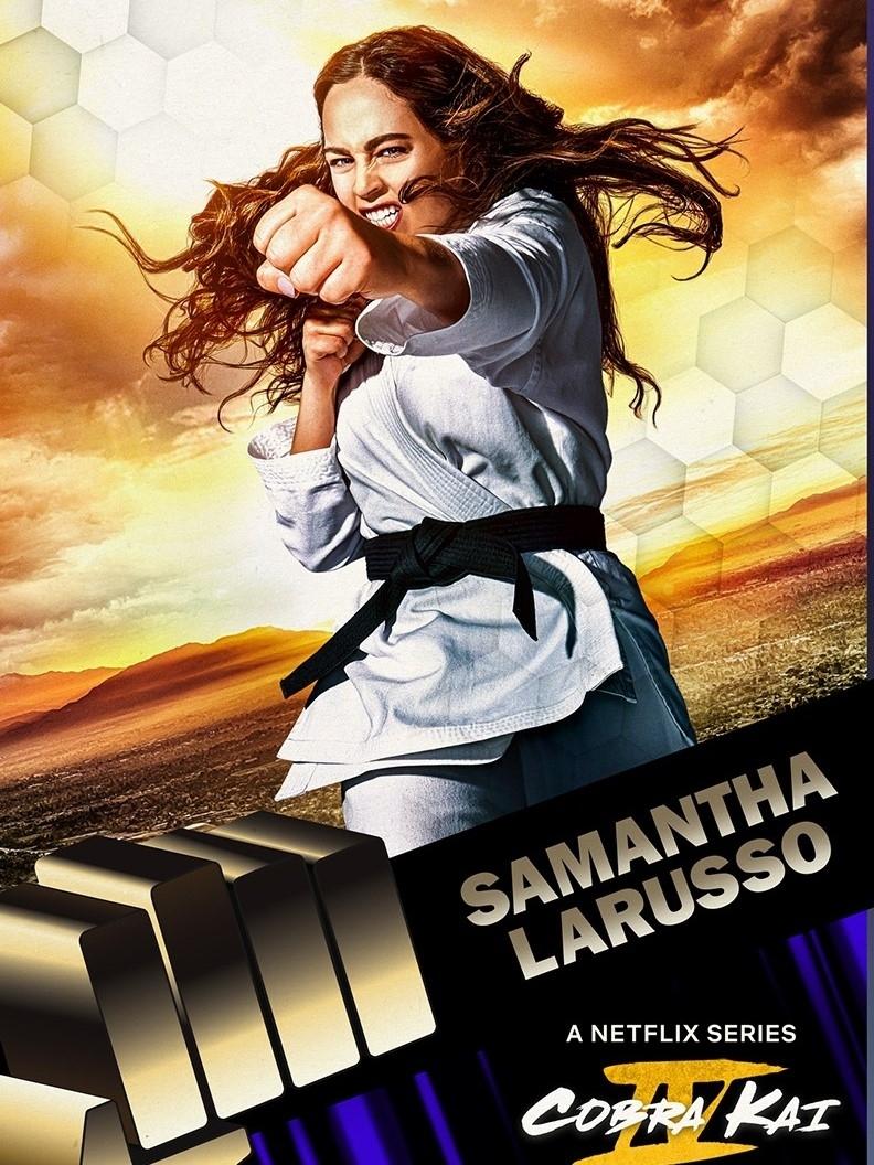 Immagine Poster serie TV 73 Cobra Kai
