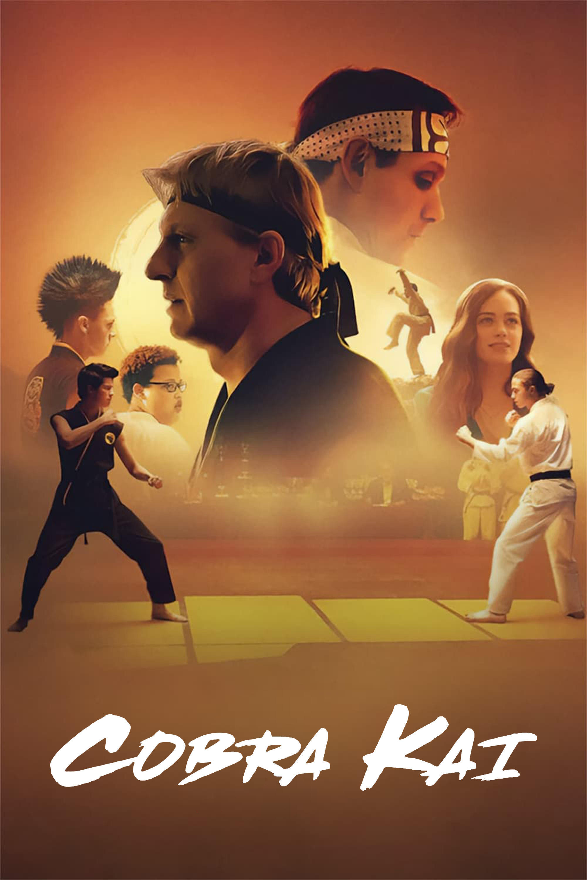 Immagine Poster serie TV 53 Cobra Kai