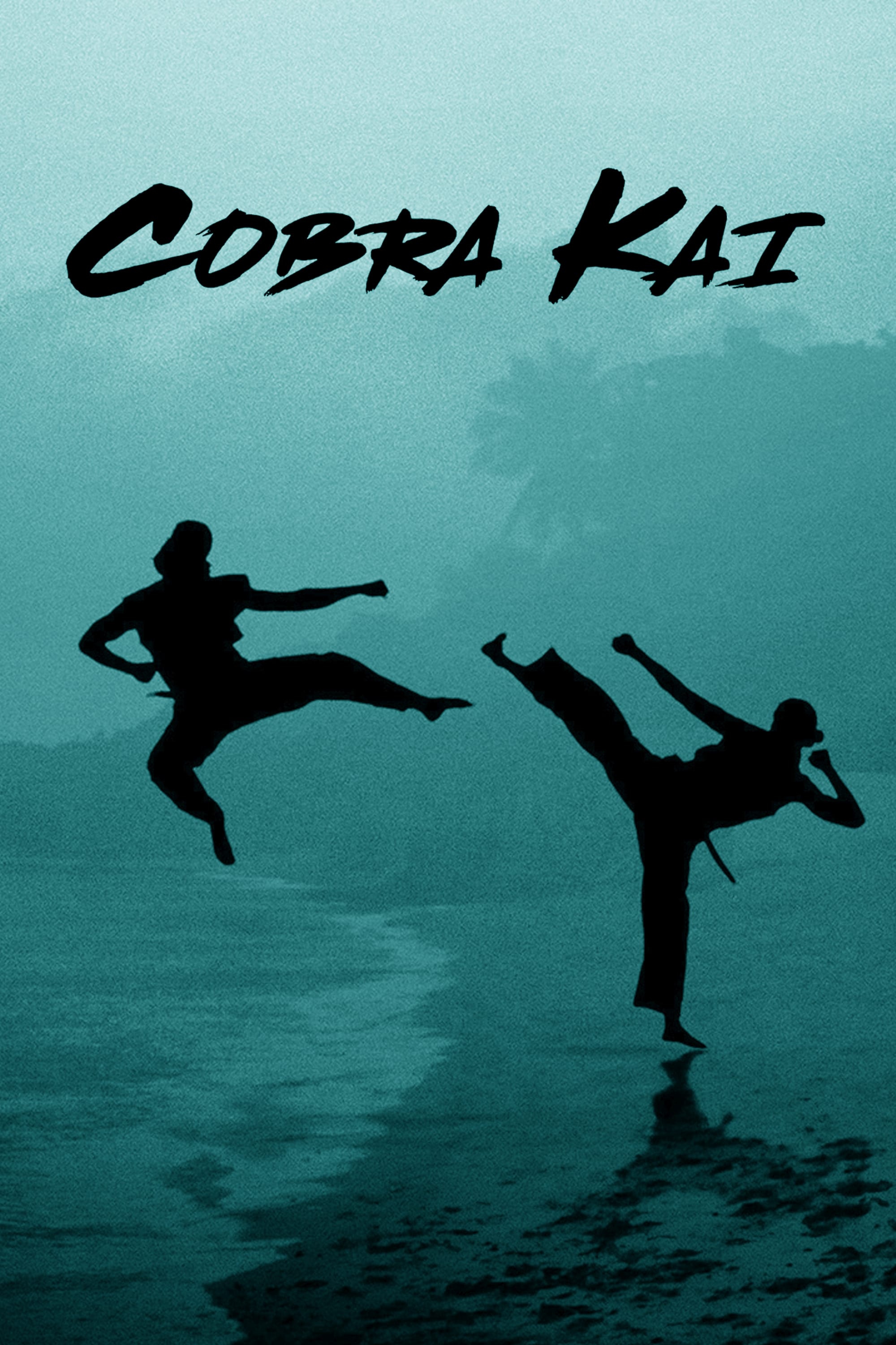 Immagine Poster serie TV 29 Cobra Kai