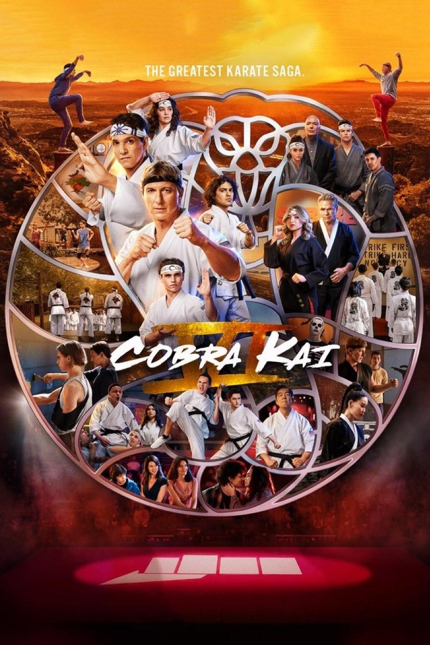 Immagine Poster serie TV 17 Cobra Kai