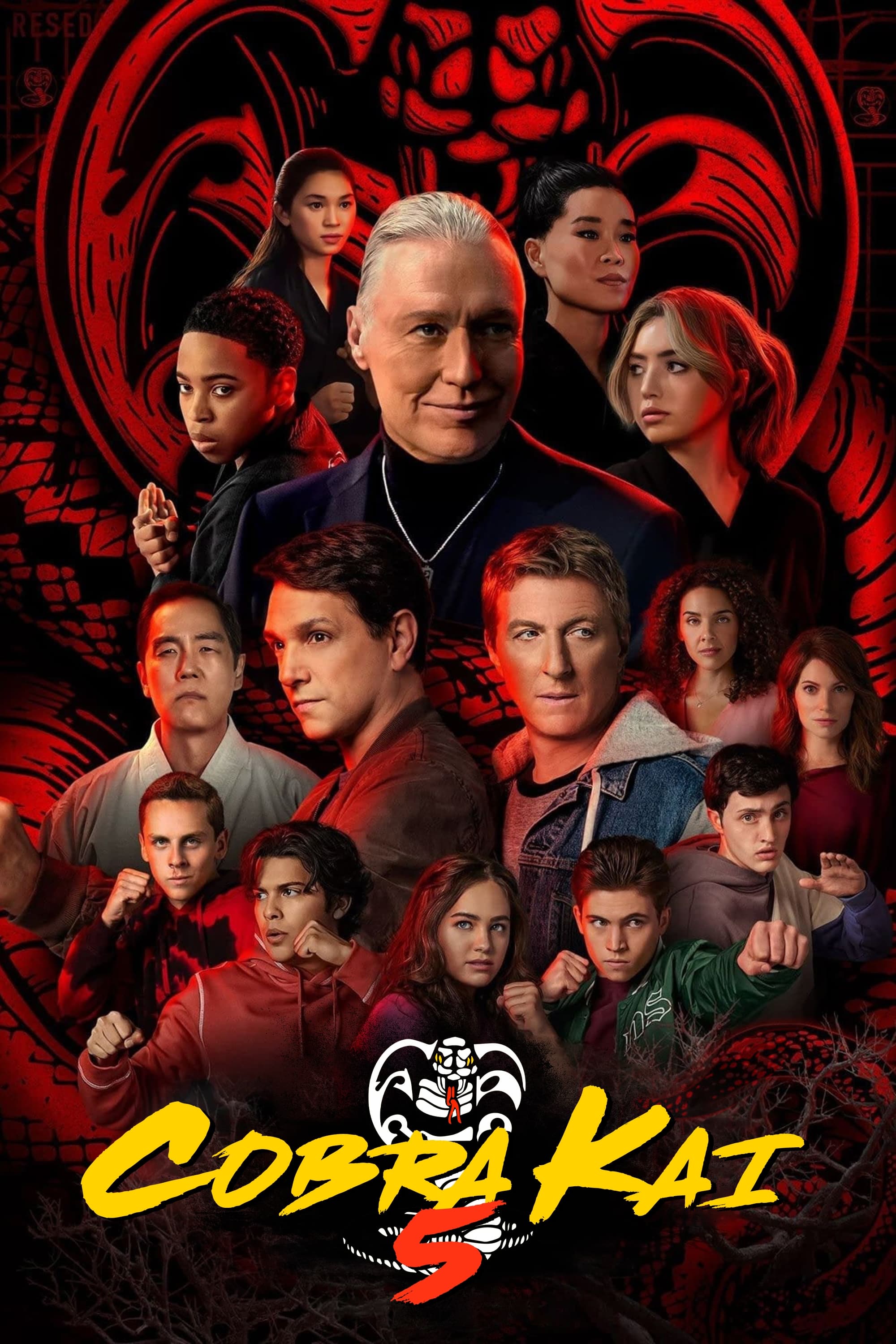 Immagine Poster serie TV 42 Cobra Kai