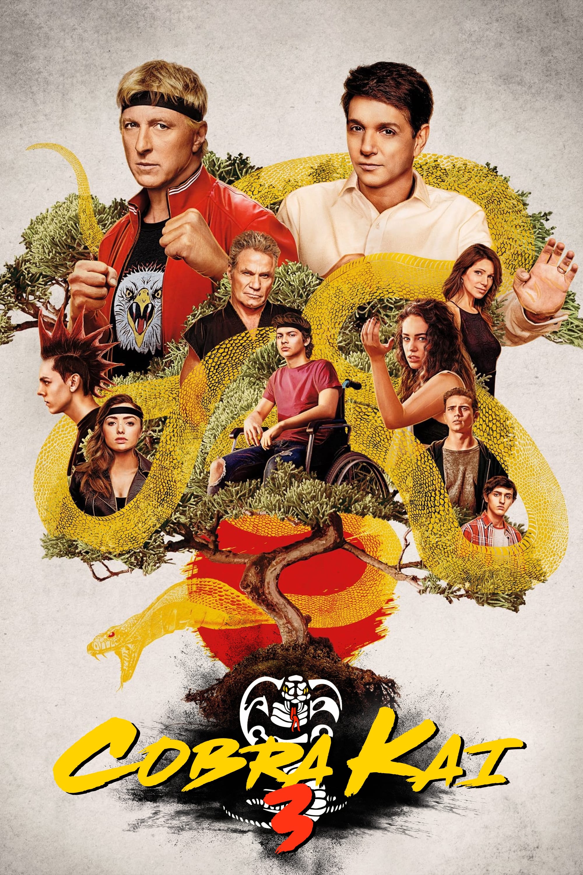 Immagine Poster serie TV 46 Cobra Kai