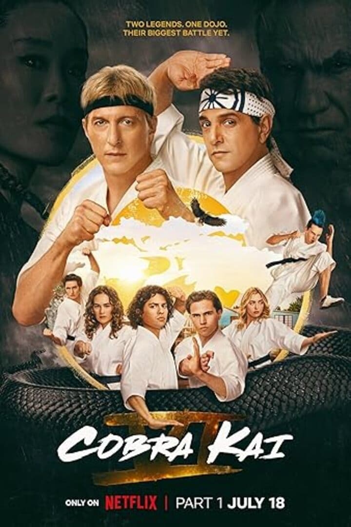 Immagine Poster serie TV 49 Cobra Kai