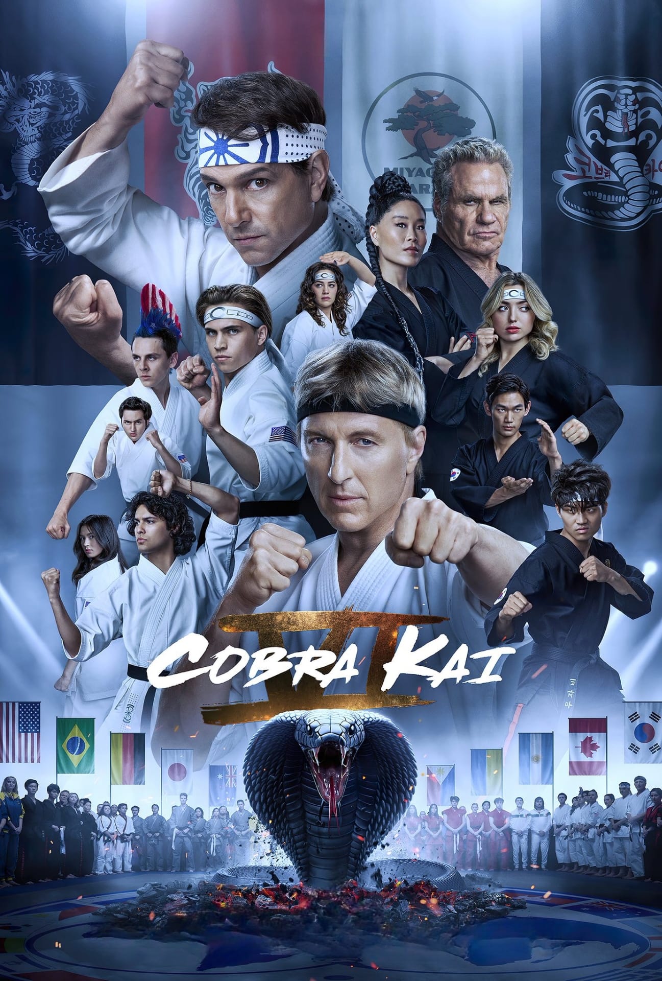 Immagine Poster serie TV 13 Cobra Kai