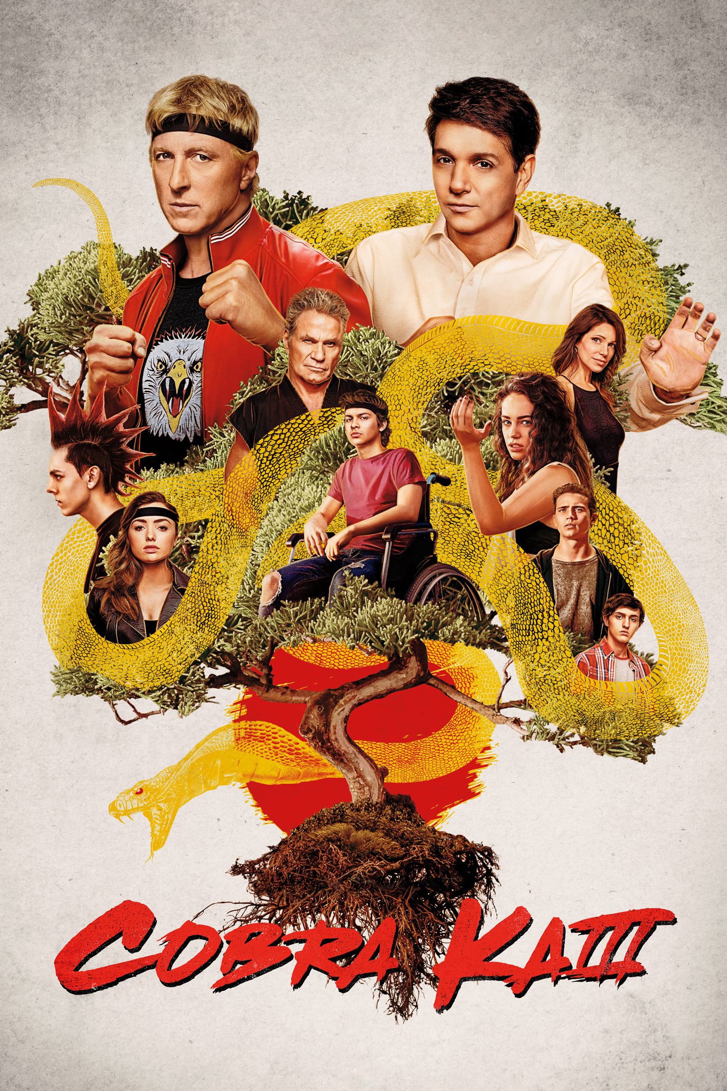Immagine Poster serie TV 4 Cobra Kai