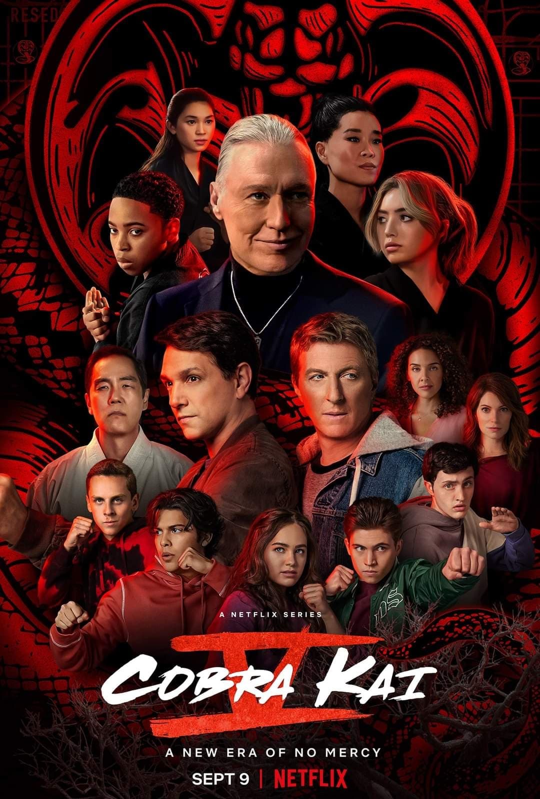 Immagine Poster serie TV 6 Cobra Kai