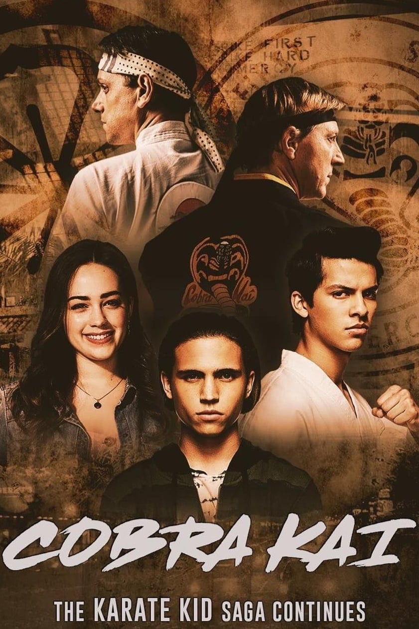 Immagine Poster serie TV 19 Cobra Kai
